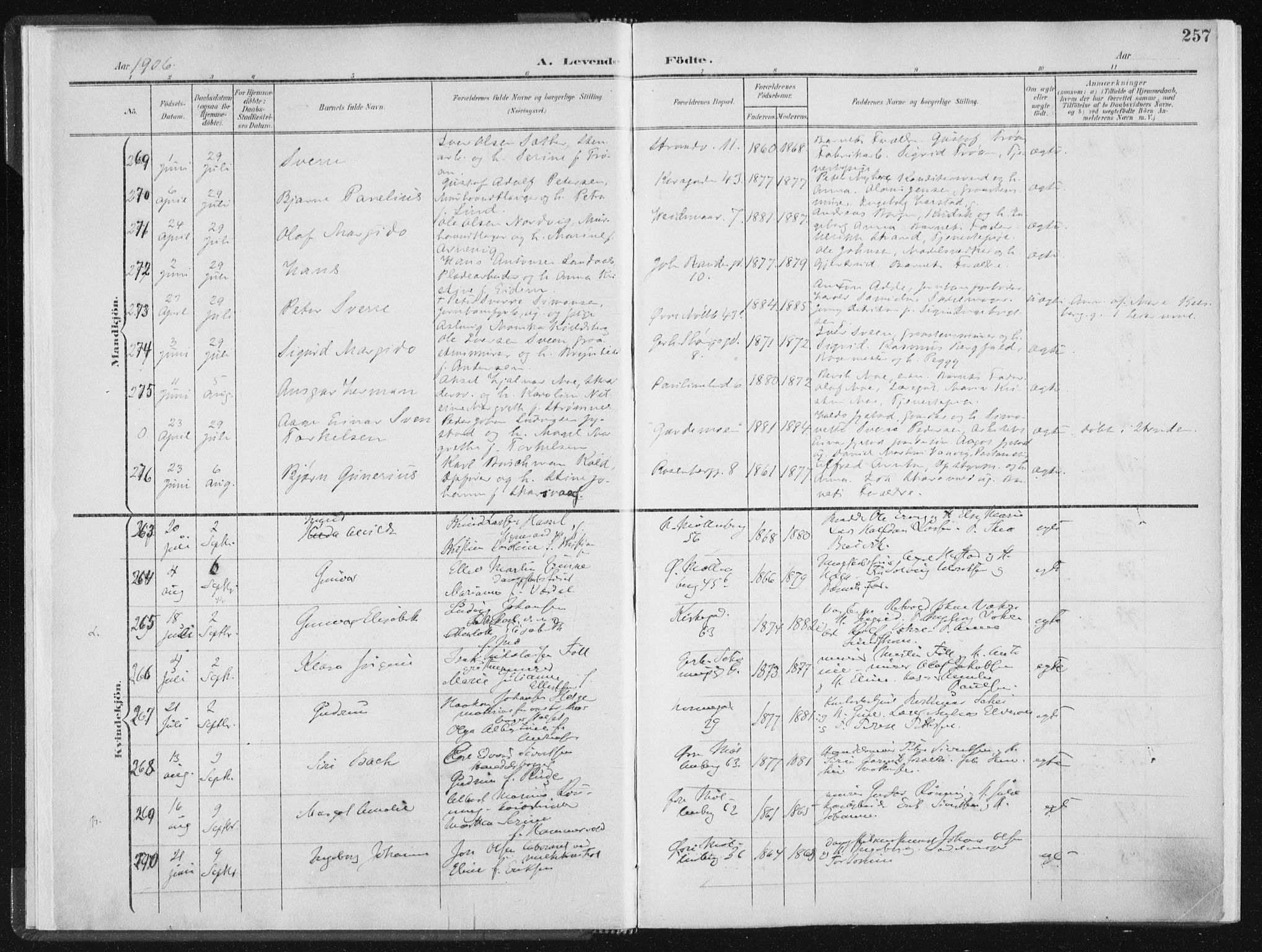 Ministerialprotokoller, klokkerbøker og fødselsregistre - Sør-Trøndelag, AV/SAT-A-1456/604/L0200: Parish register (official) no. 604A20II, 1901-1908, p. 257