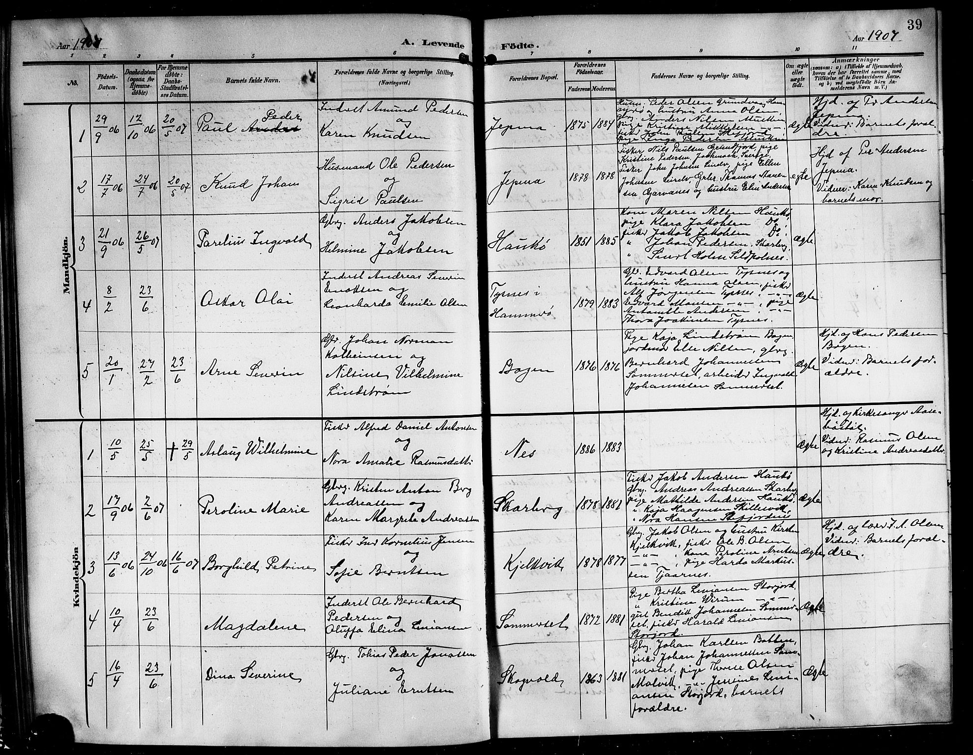 Ministerialprotokoller, klokkerbøker og fødselsregistre - Nordland, AV/SAT-A-1459/861/L0877: Parish register (copy) no. 861C03, 1903-1919, p. 39