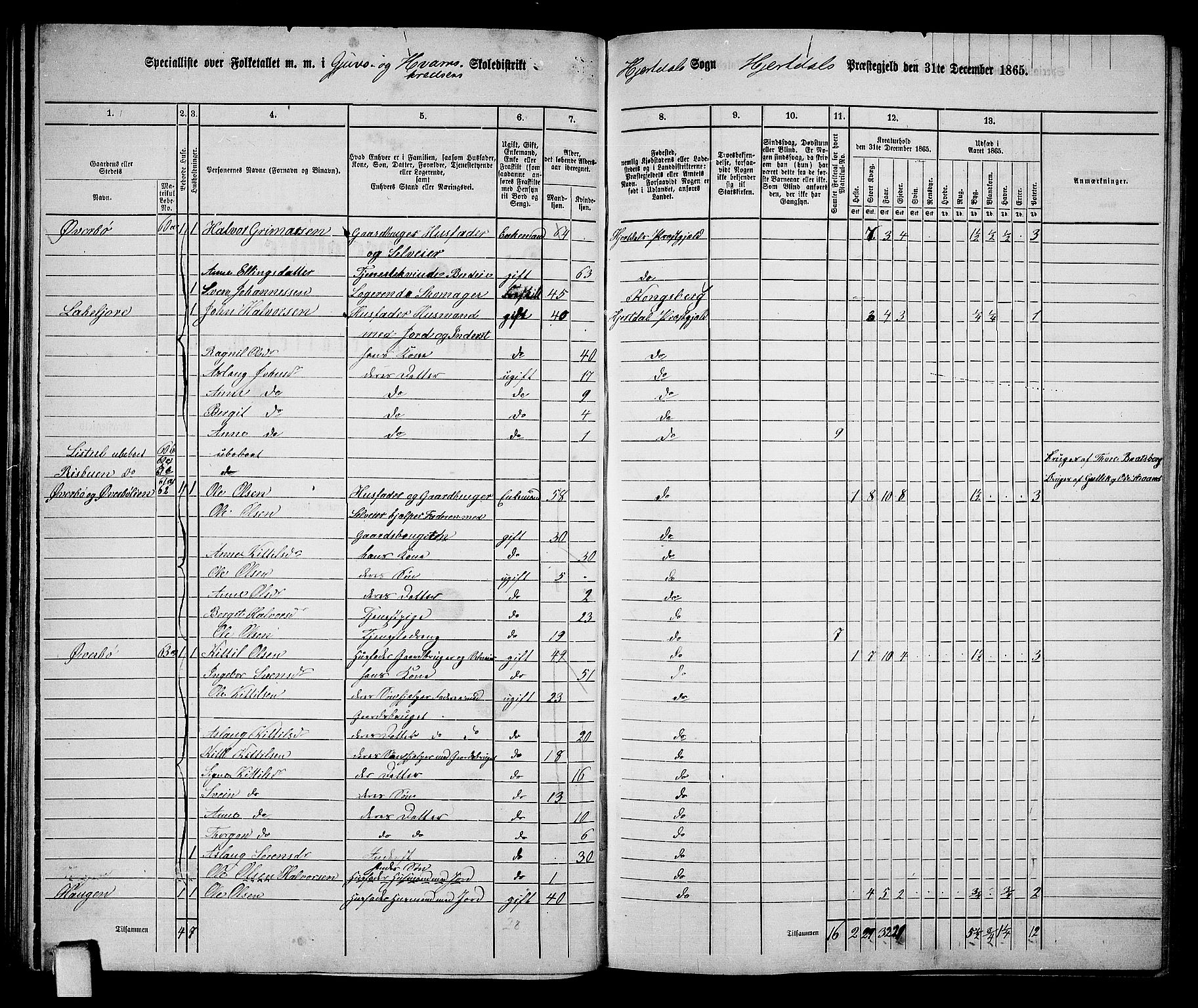 RA, 1865 census for Hjartdal, 1865, p. 33