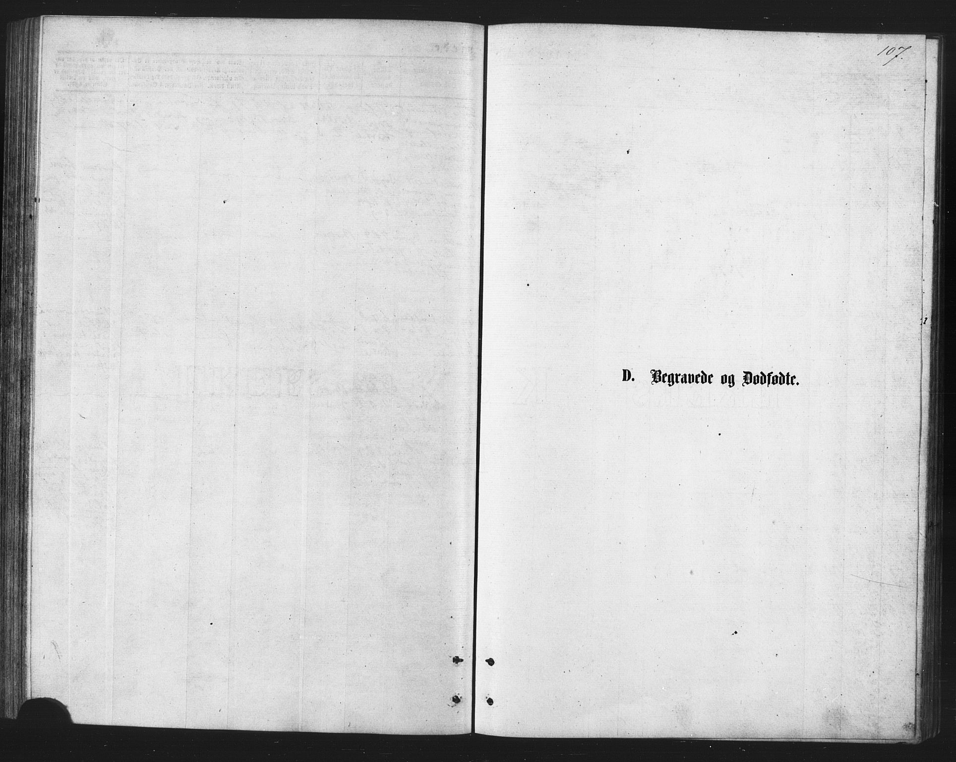 Berg sokneprestkontor, SATØ/S-1318/G/Ga/Gaa/L0003kirke: Parish register (official) no. 3, 1872-1879, p. 107