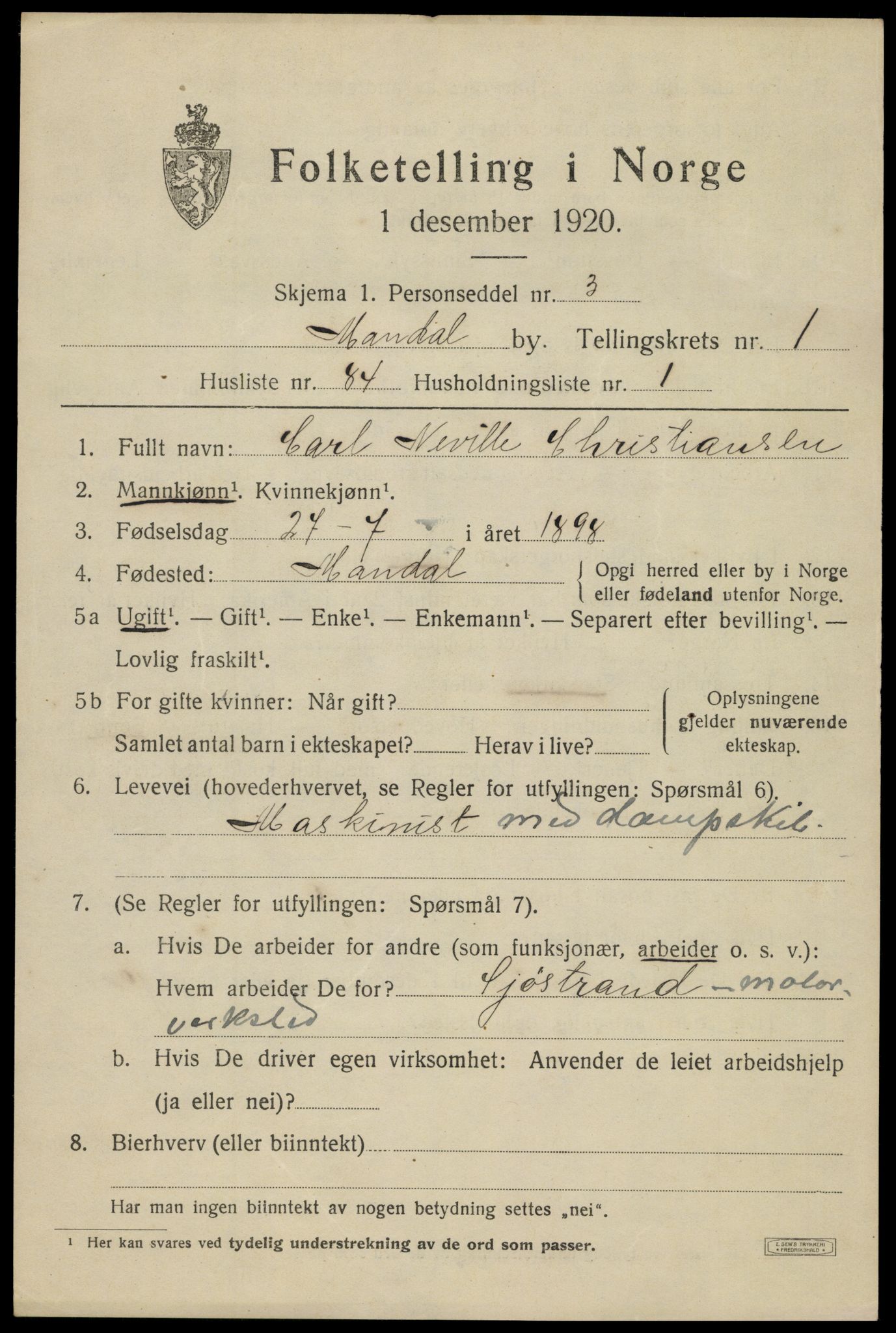 SAK, 1920 census for Mandal, 1920, p. 4103