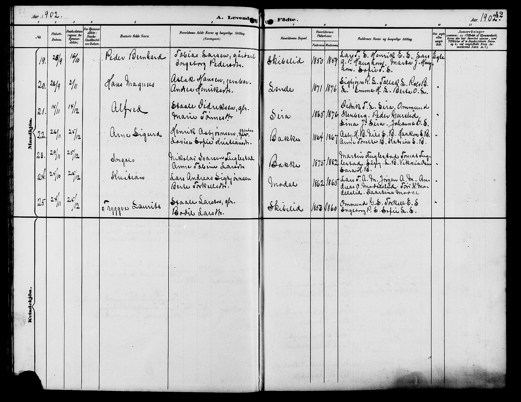 Bakke sokneprestkontor, AV/SAK-1111-0002/F/Fb/Fba/L0003: Parish register (copy) no. B 3, 1894-1910, p. 42