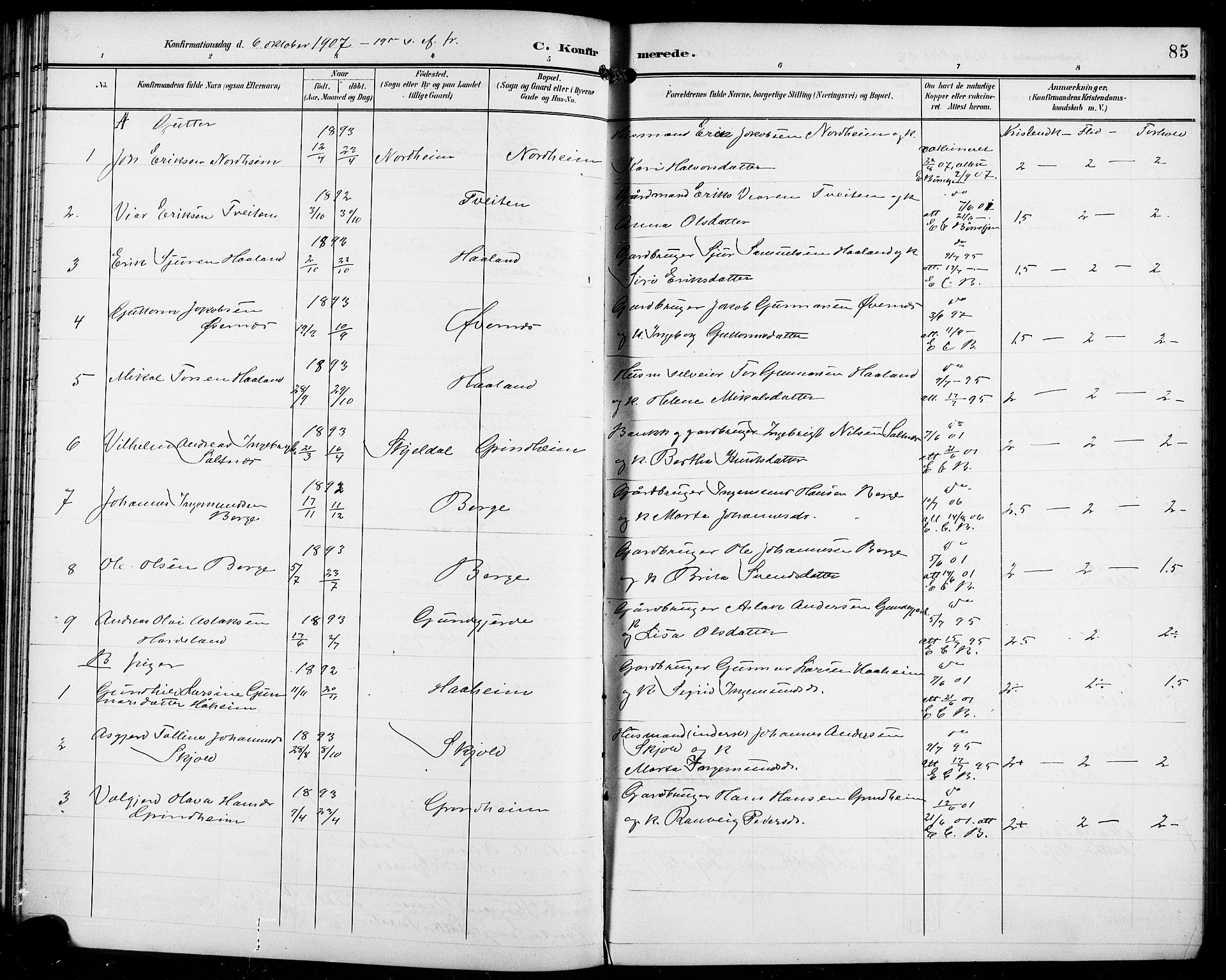Etne sokneprestembete, SAB/A-75001/H/Hab: Parish register (copy) no. C 5, 1896-1920, p. 85