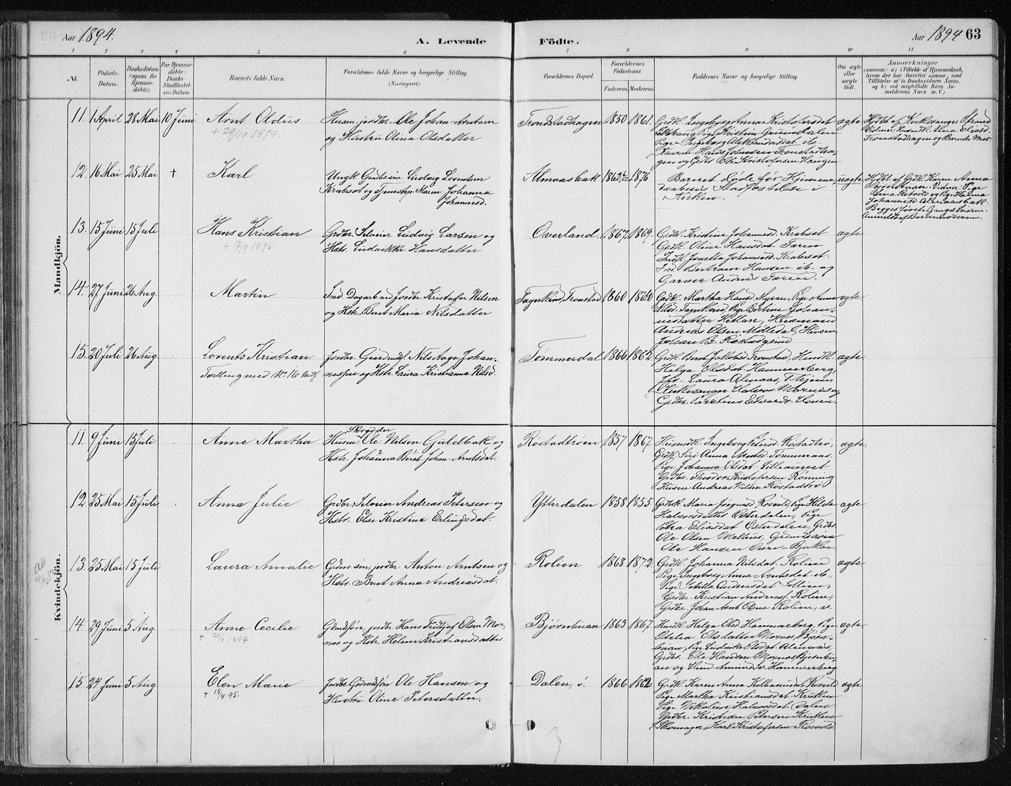 Ministerialprotokoller, klokkerbøker og fødselsregistre - Nord-Trøndelag, SAT/A-1458/701/L0010: Parish register (official) no. 701A10, 1883-1899, p. 63