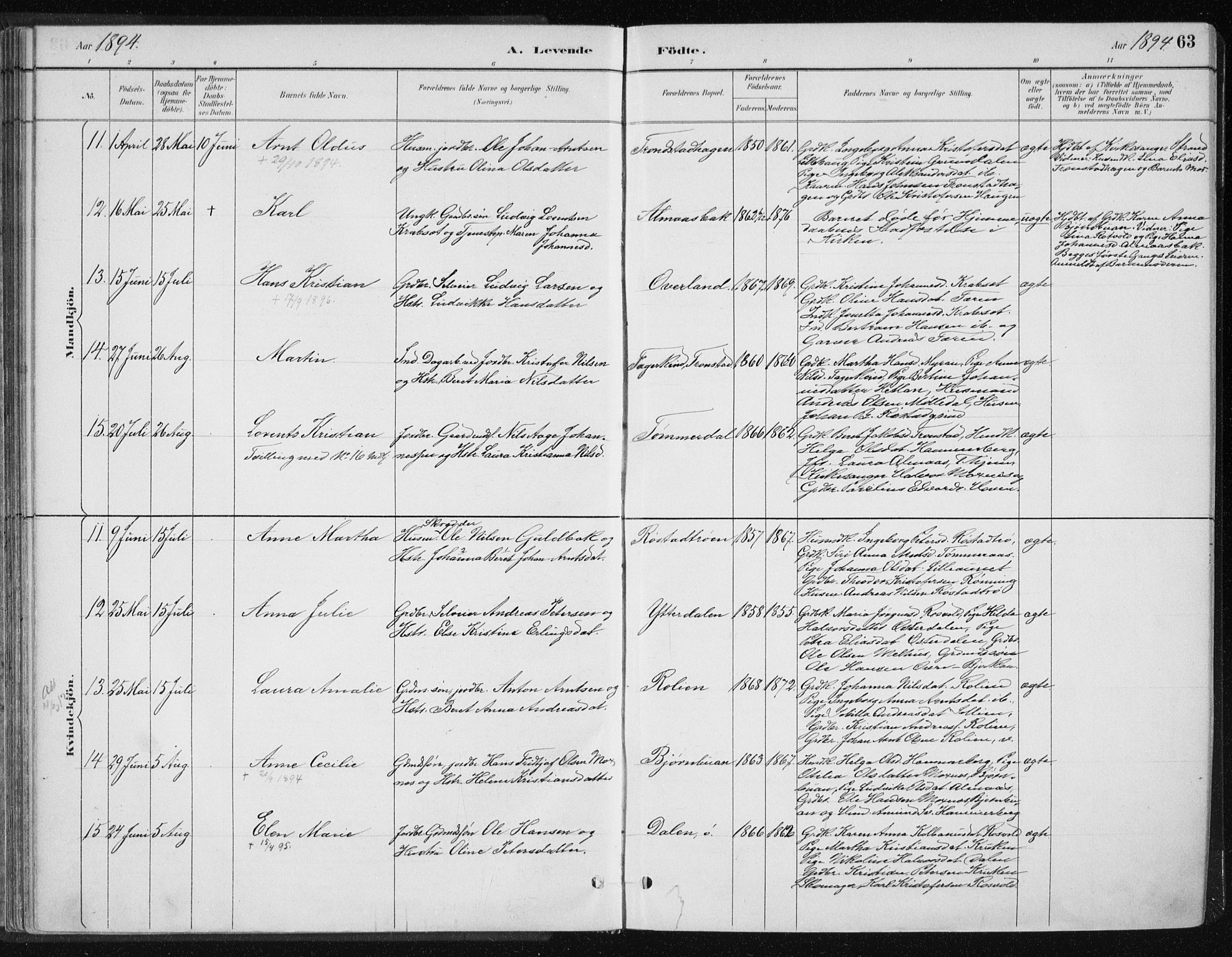 Ministerialprotokoller, klokkerbøker og fødselsregistre - Nord-Trøndelag, AV/SAT-A-1458/701/L0010: Parish register (official) no. 701A10, 1883-1899, p. 63