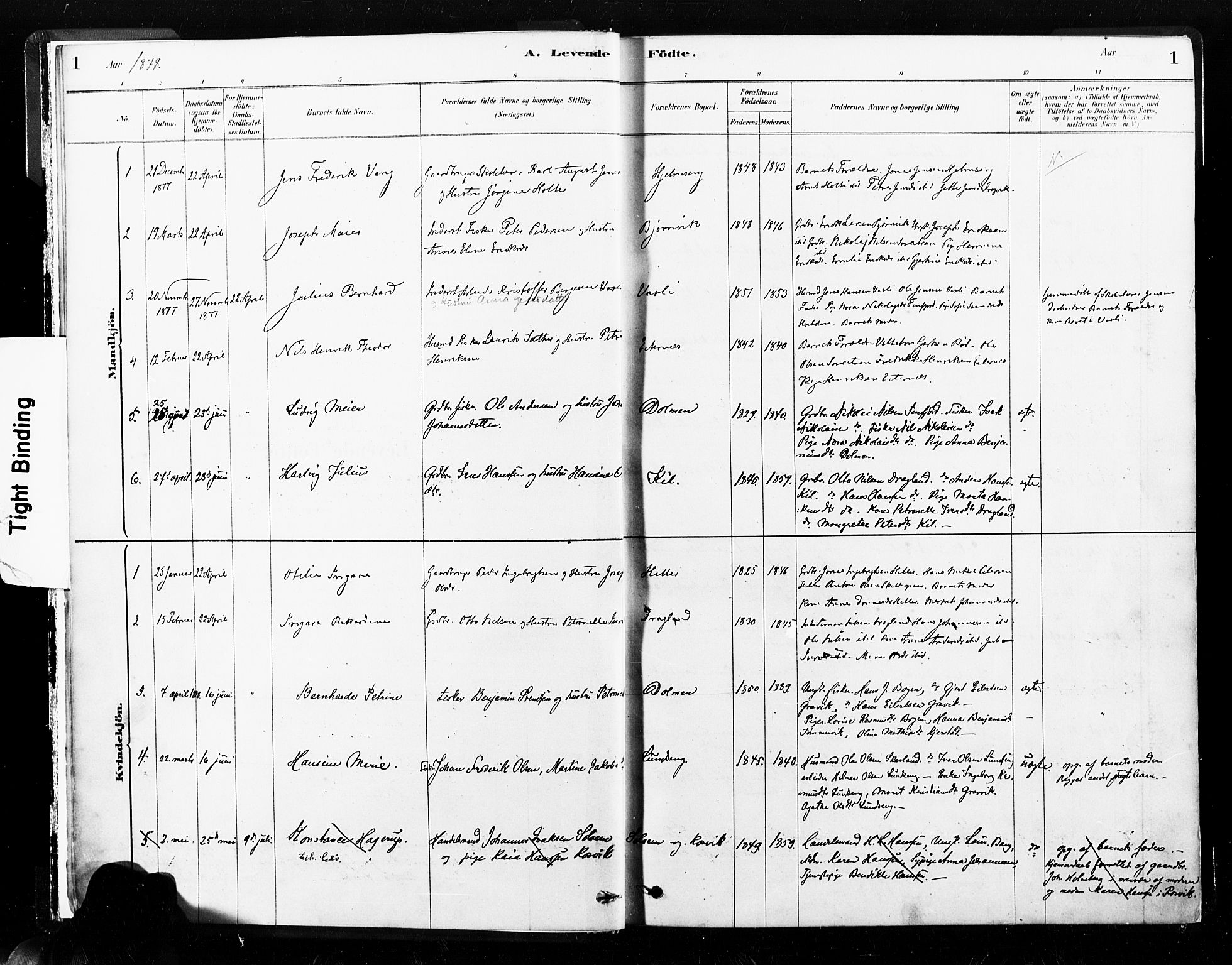 Ministerialprotokoller, klokkerbøker og fødselsregistre - Nord-Trøndelag, AV/SAT-A-1458/789/L0705: Parish register (official) no. 789A01, 1878-1910, p. 1