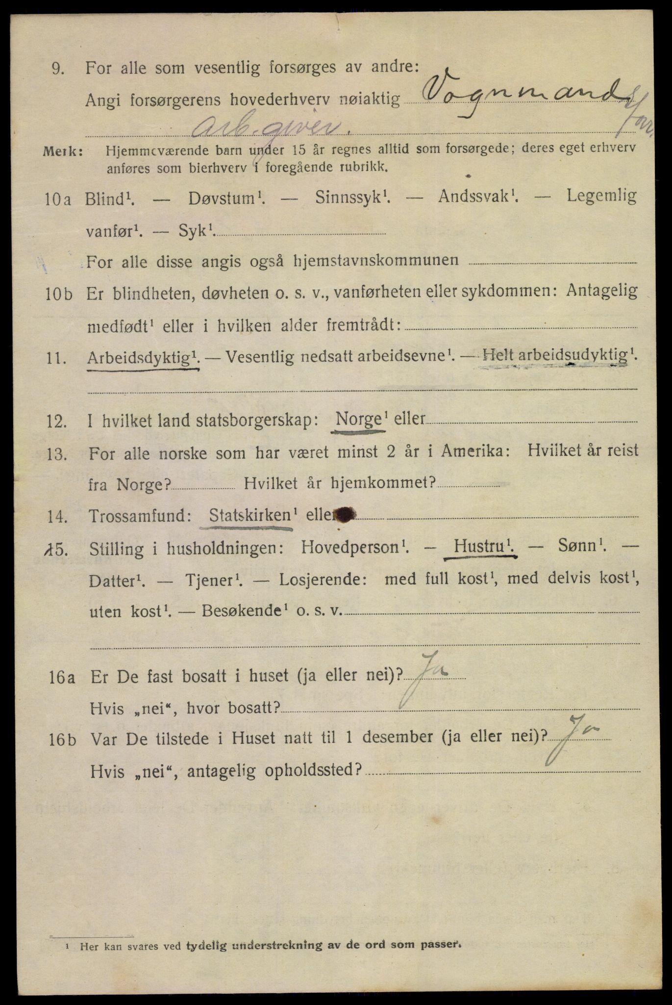 SAKO, 1920 census for Brevik, 1920, p. 6025