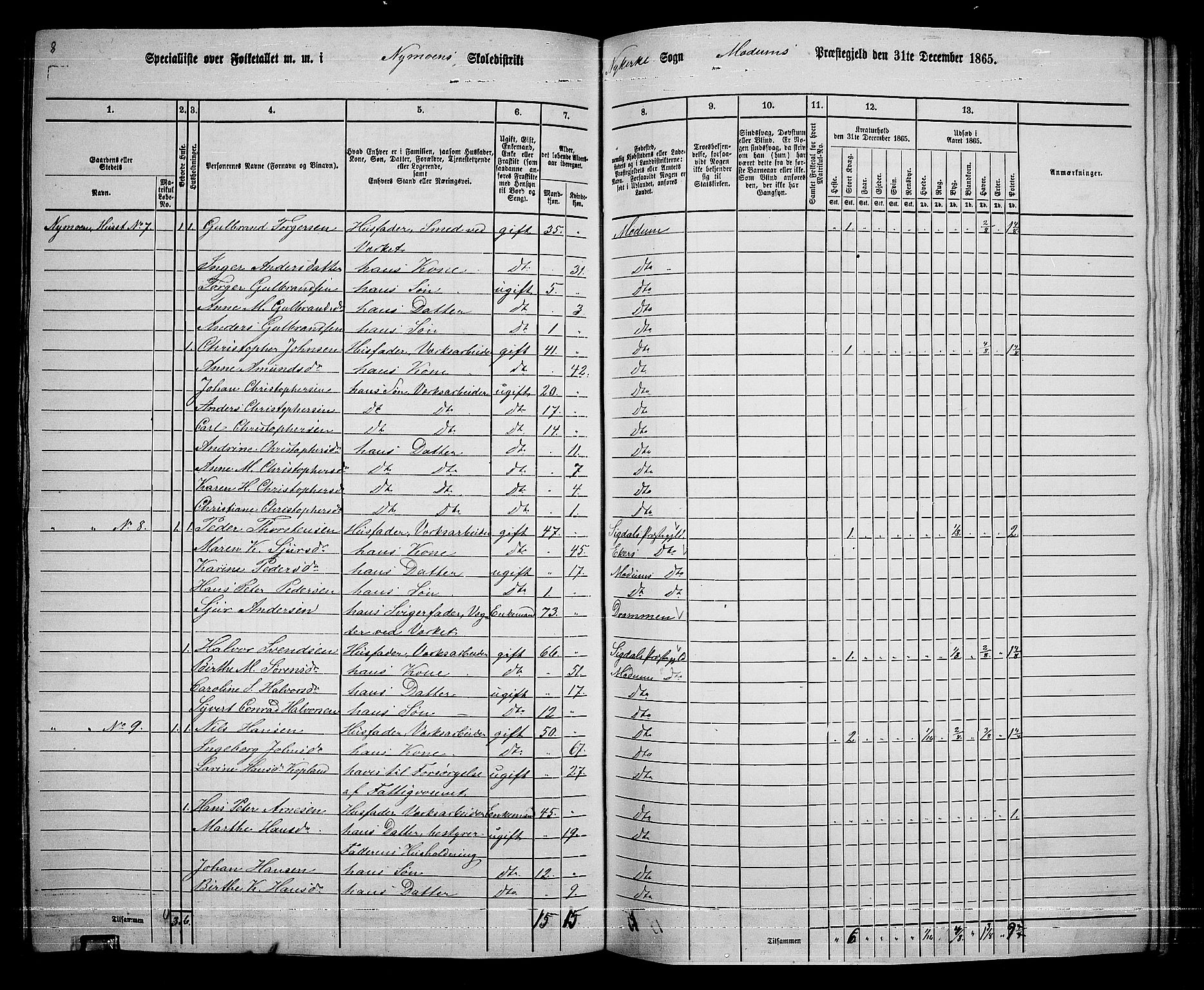 RA, 1865 census for Modum, 1865, p. 233