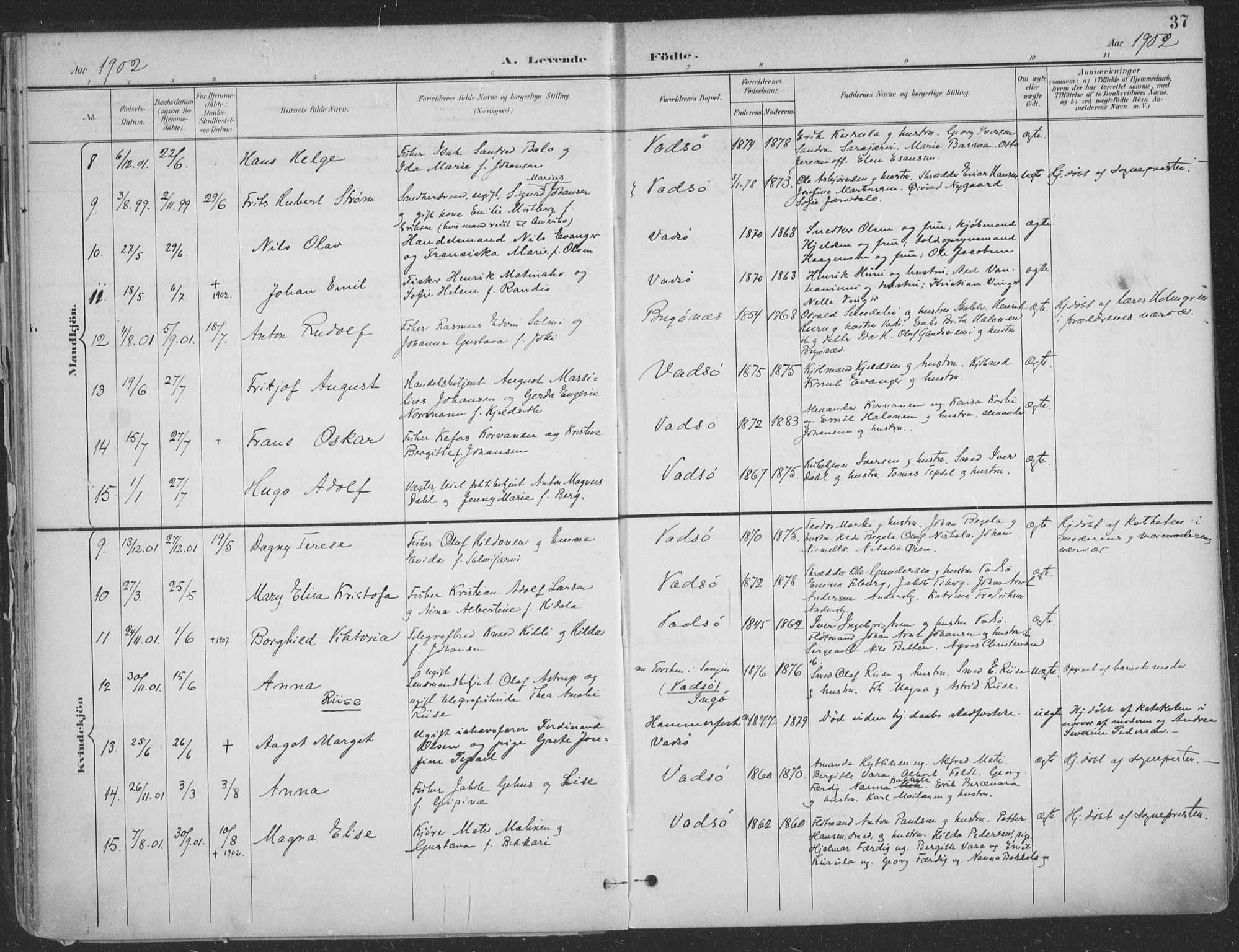 Vadsø sokneprestkontor, SATØ/S-1325/H/Ha/L0007kirke: Parish register (official) no. 7, 1896-1916, p. 37