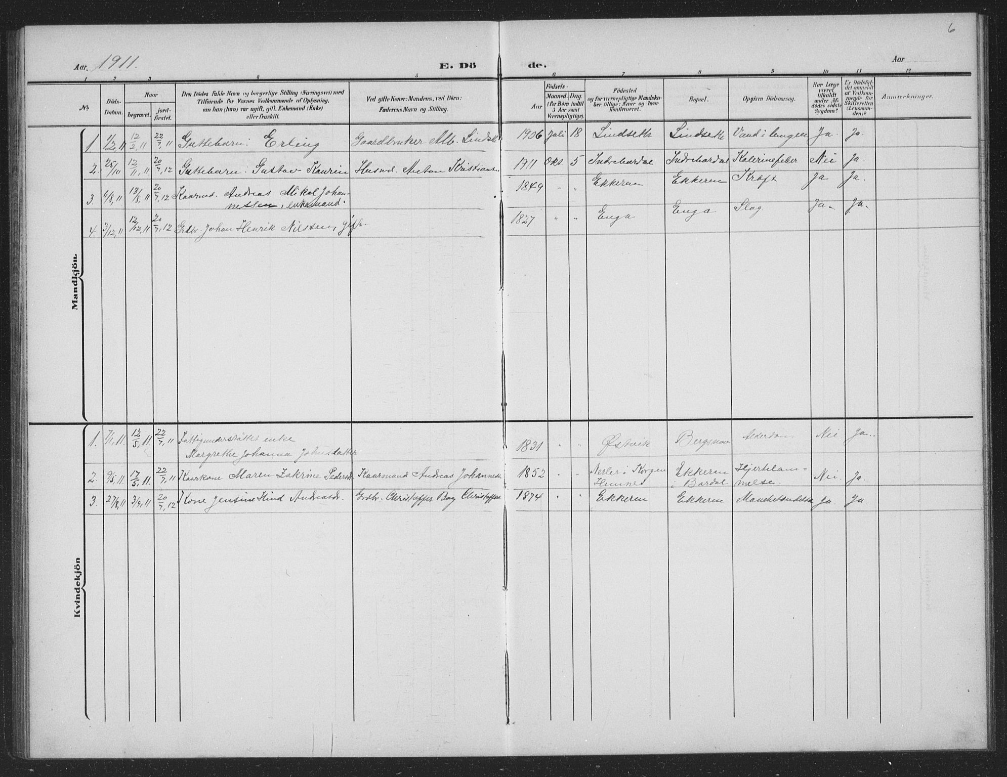 Ministerialprotokoller, klokkerbøker og fødselsregistre - Nordland, AV/SAT-A-1459/833/L0502: Parish register (copy) no. 833C01, 1906-1934, p. 6