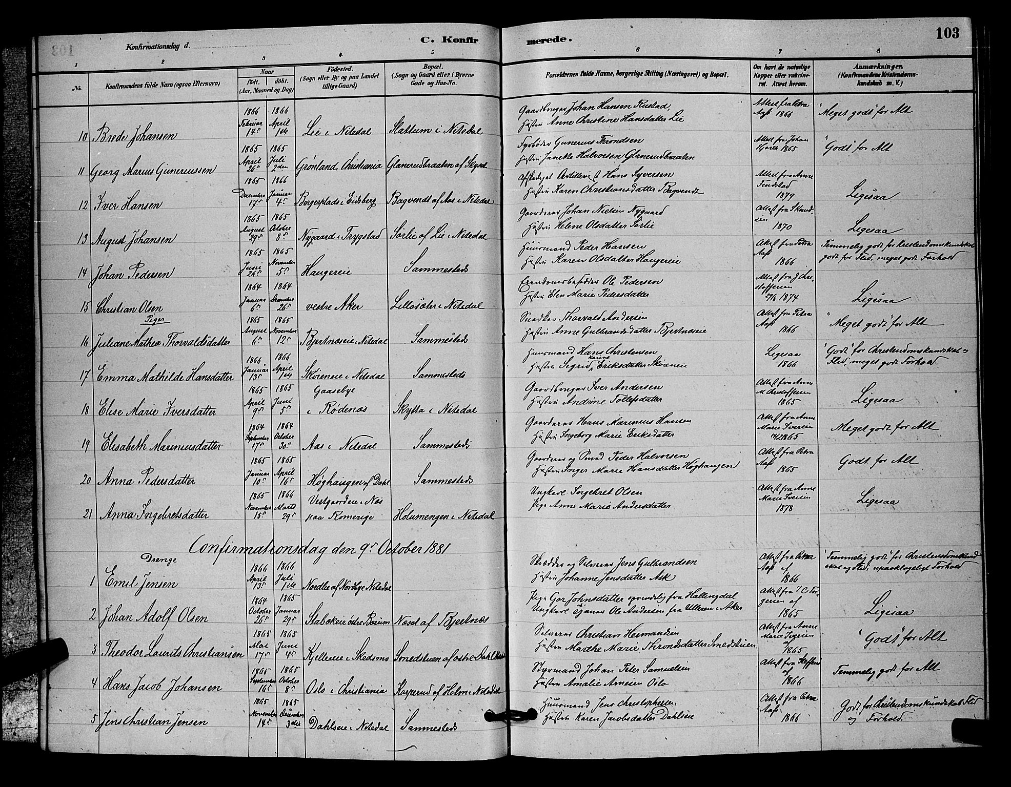 Nittedal prestekontor Kirkebøker, SAO/A-10365a/G/Ga/L0002: Parish register (copy) no. I 2, 1879-1901, p. 103