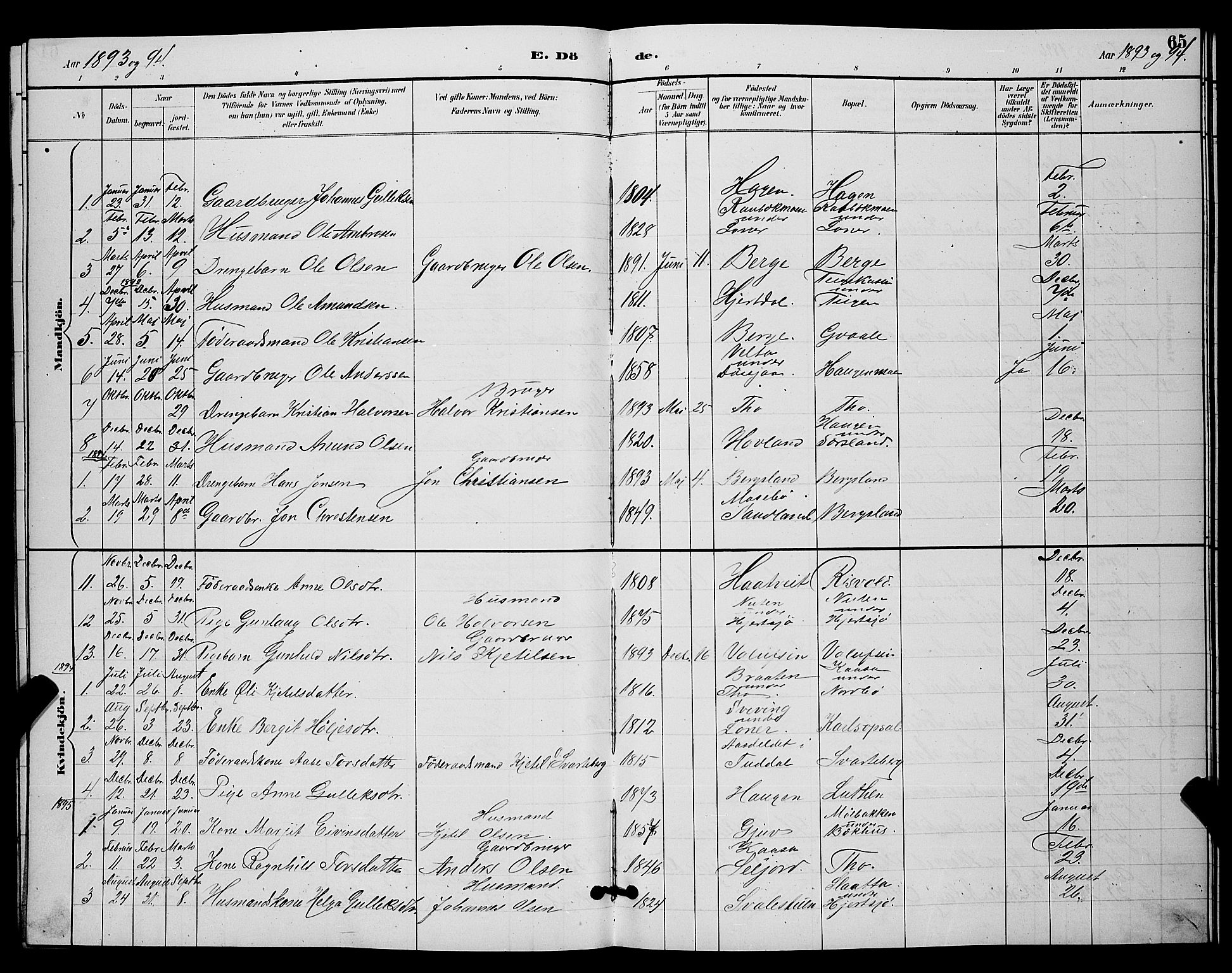 Hjartdal kirkebøker, SAKO/A-270/G/Ga/L0003: Parish register (copy) no. I 3, 1889-1896, p. 65