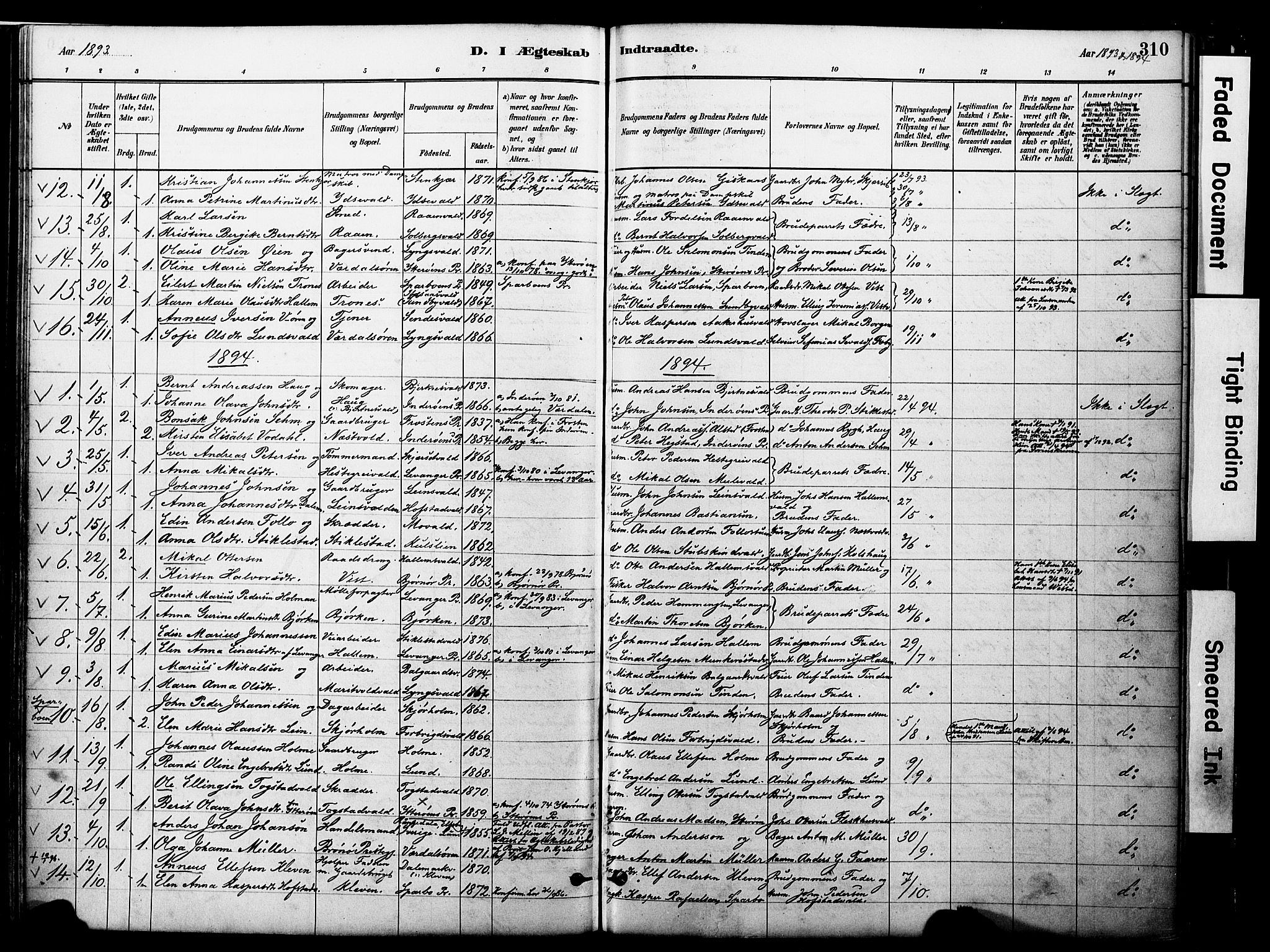 Ministerialprotokoller, klokkerbøker og fødselsregistre - Nord-Trøndelag, AV/SAT-A-1458/723/L0244: Parish register (official) no. 723A13, 1881-1899, p. 310