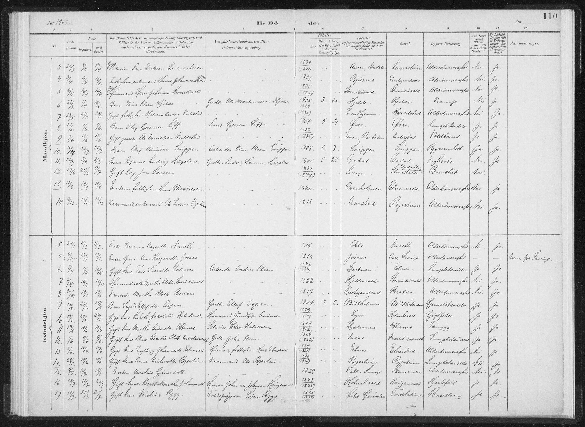 Ministerialprotokoller, klokkerbøker og fødselsregistre - Nord-Trøndelag, SAT/A-1458/724/L0263: Parish register (official) no. 724A01, 1891-1907, p. 110