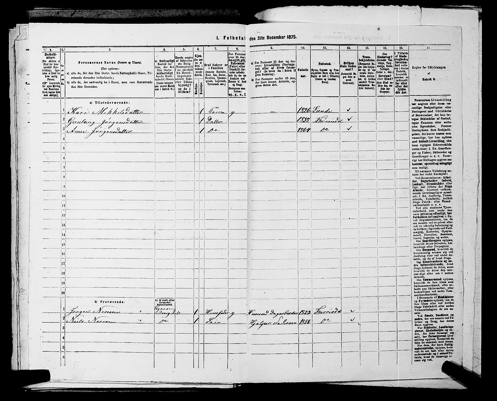 SAKO, 1875 census for 0817P Drangedal, 1875, p. 1001