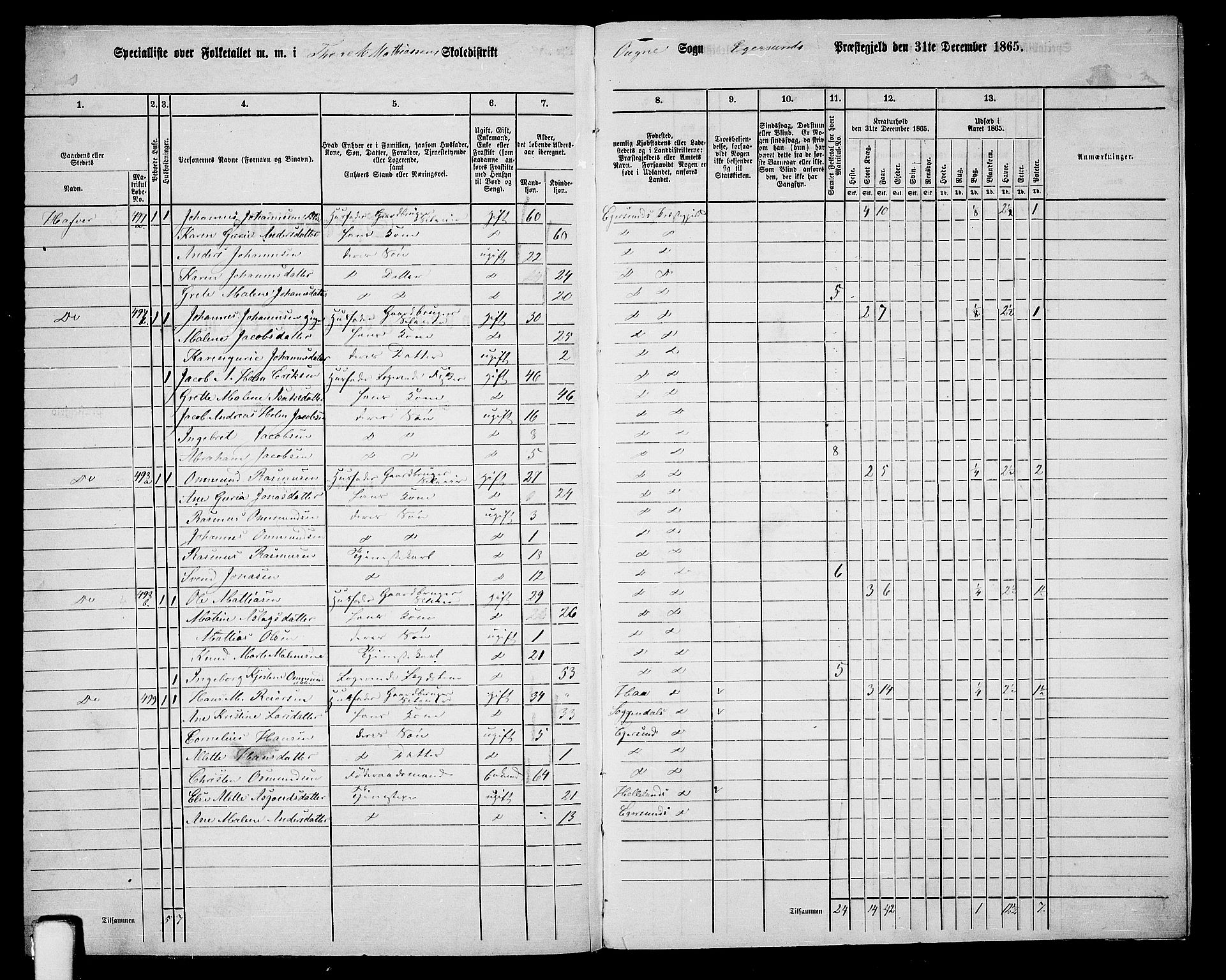 RA, 1865 census for Eigersund/Eigersund og Ogna, 1865, p. 158