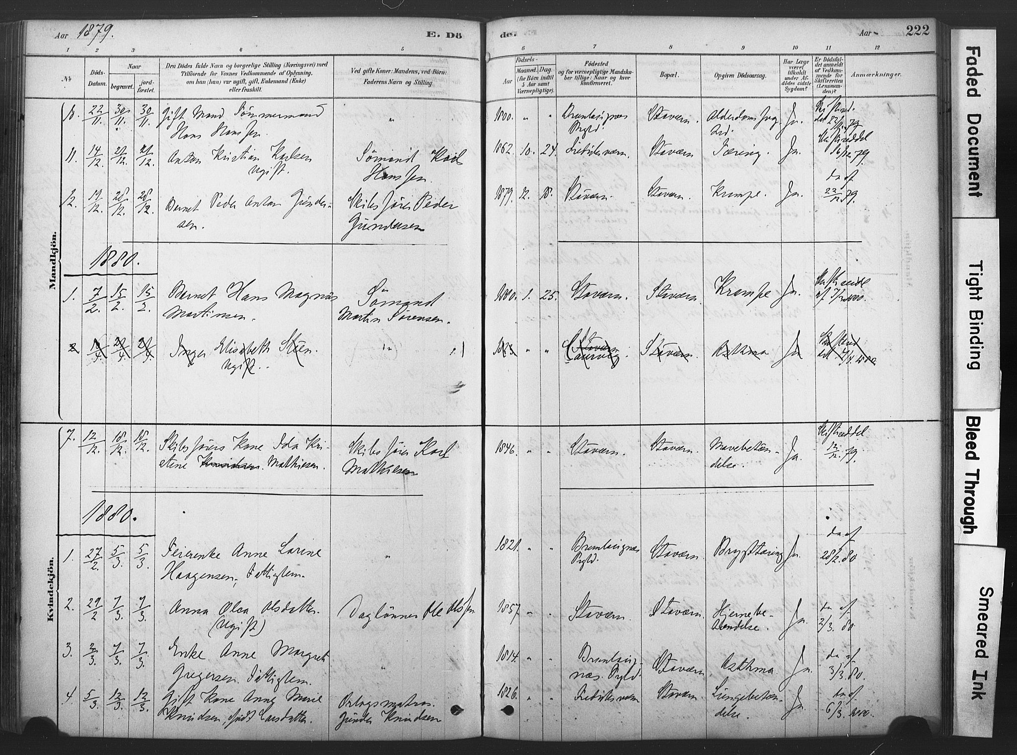 Stavern kirkebøker, AV/SAKO-A-318/F/Fa/L0008: Parish register (official) no. 8, 1878-1905, p. 222