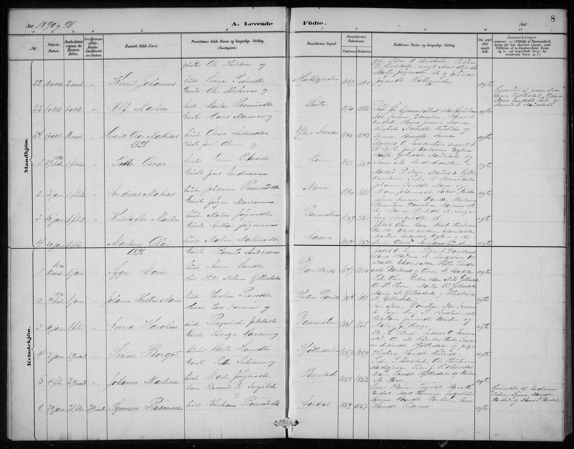 Davik sokneprestembete, AV/SAB-A-79701/H/Hab/Haba/L0002: Parish register (copy) no. A 2, 1890-1911, p. 8