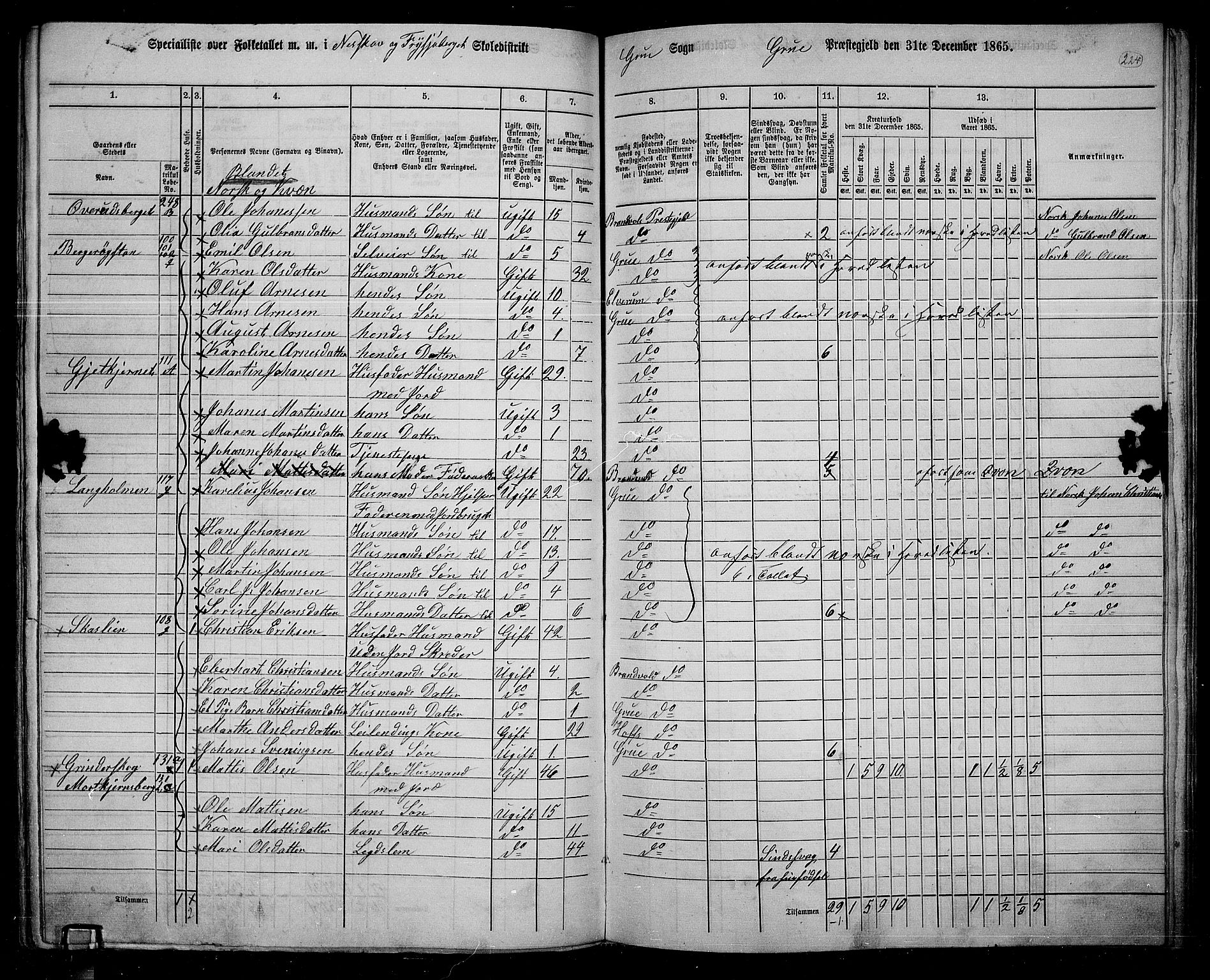 RA, 1865 census for Grue, 1865, p. 197