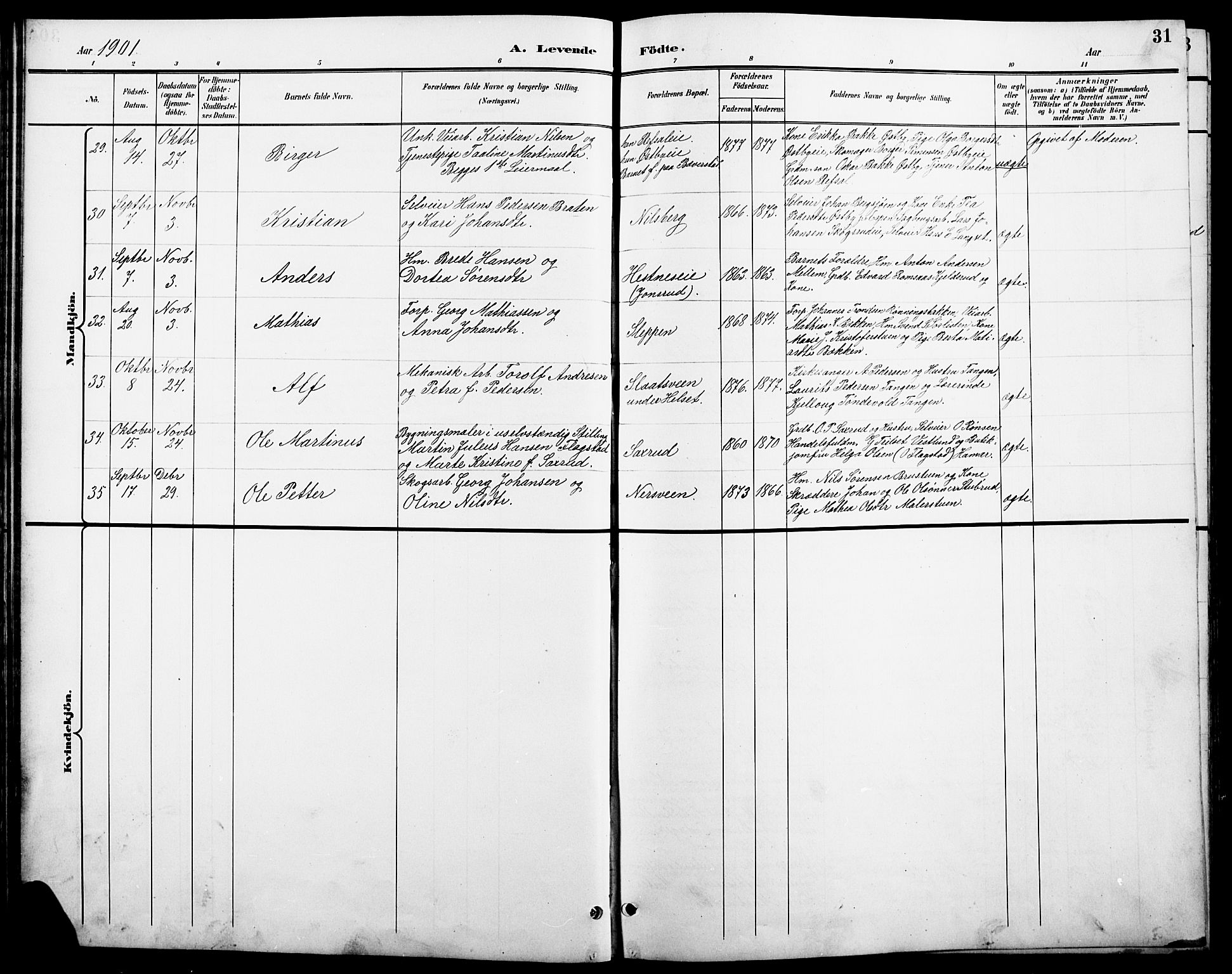 Stange prestekontor, AV/SAH-PREST-002/L/L0011: Parish register (copy) no. 11, 1895-1917, p. 31