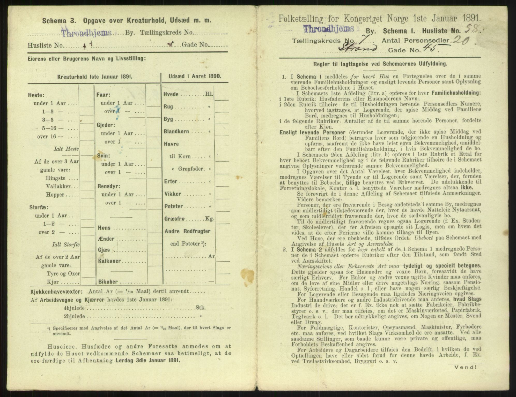 RA, 1891 census for 1601 Trondheim, 1891, p. 854