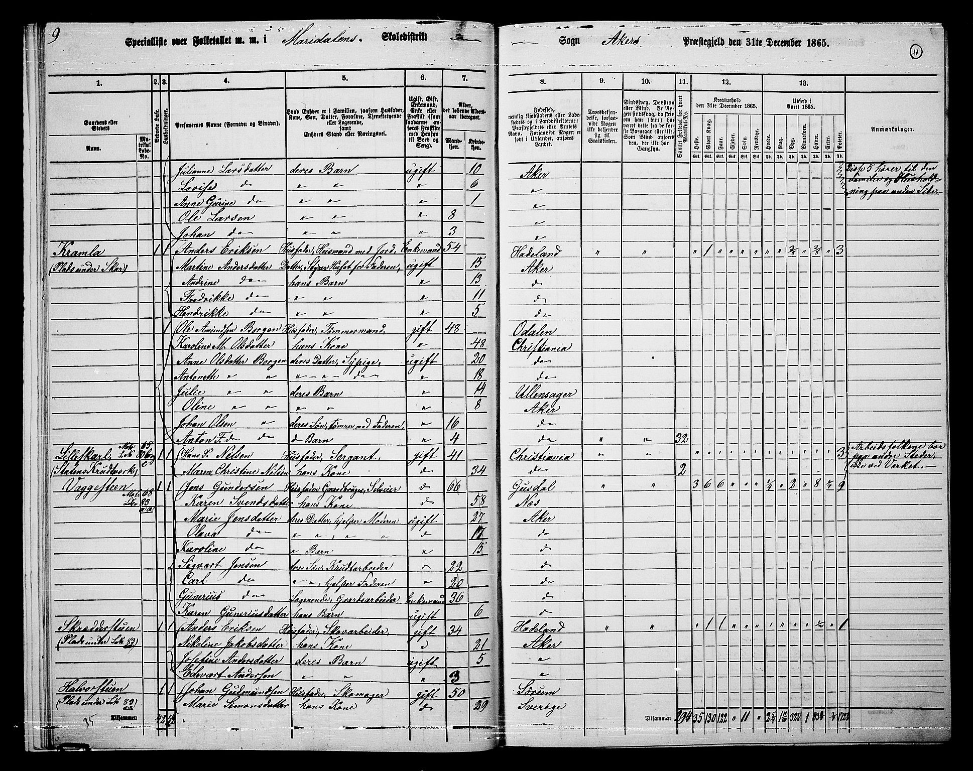 RA, 1865 census for Vestre Aker, 1865, p. 195