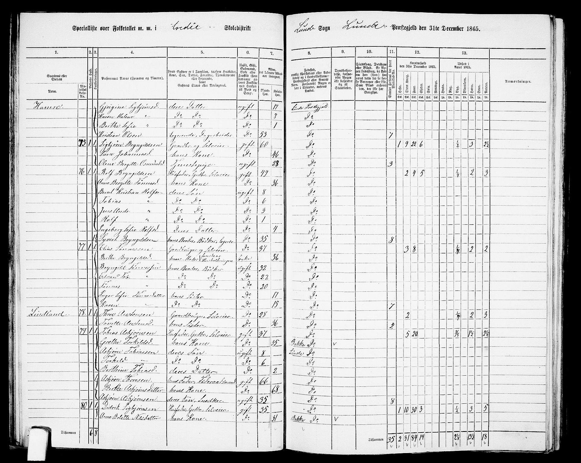 RA, 1865 census for Lund, 1865, p. 34