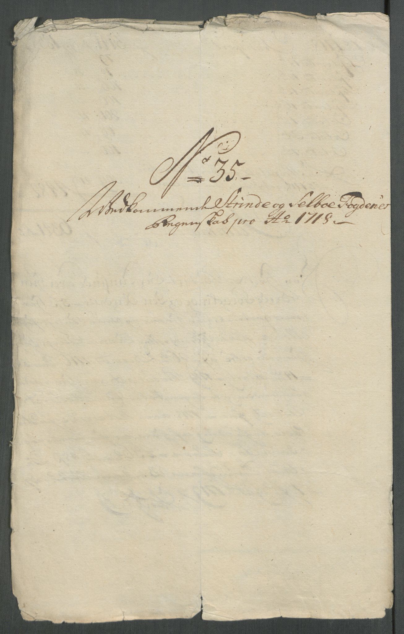 Rentekammeret inntil 1814, Reviderte regnskaper, Fogderegnskap, AV/RA-EA-4092/R61/L4116: Fogderegnskap Strinda og Selbu, 1717-1718, p. 513