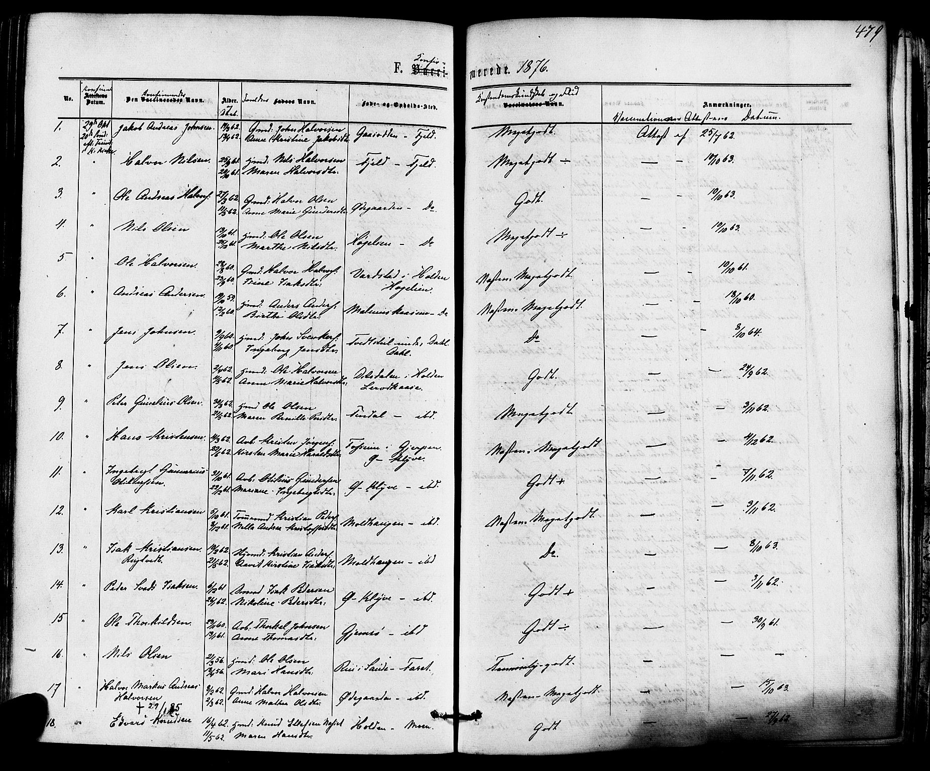 Solum kirkebøker, AV/SAKO-A-306/F/Fa/L0008: Parish register (official) no. I 8, 1865-1876, p. 479