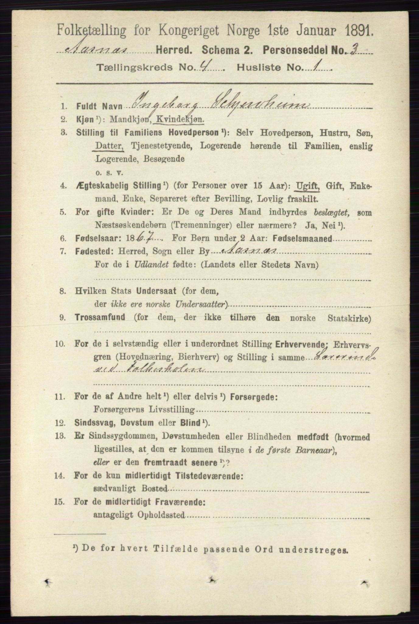 RA, 1891 census for 0425 Åsnes, 1891, p. 1673