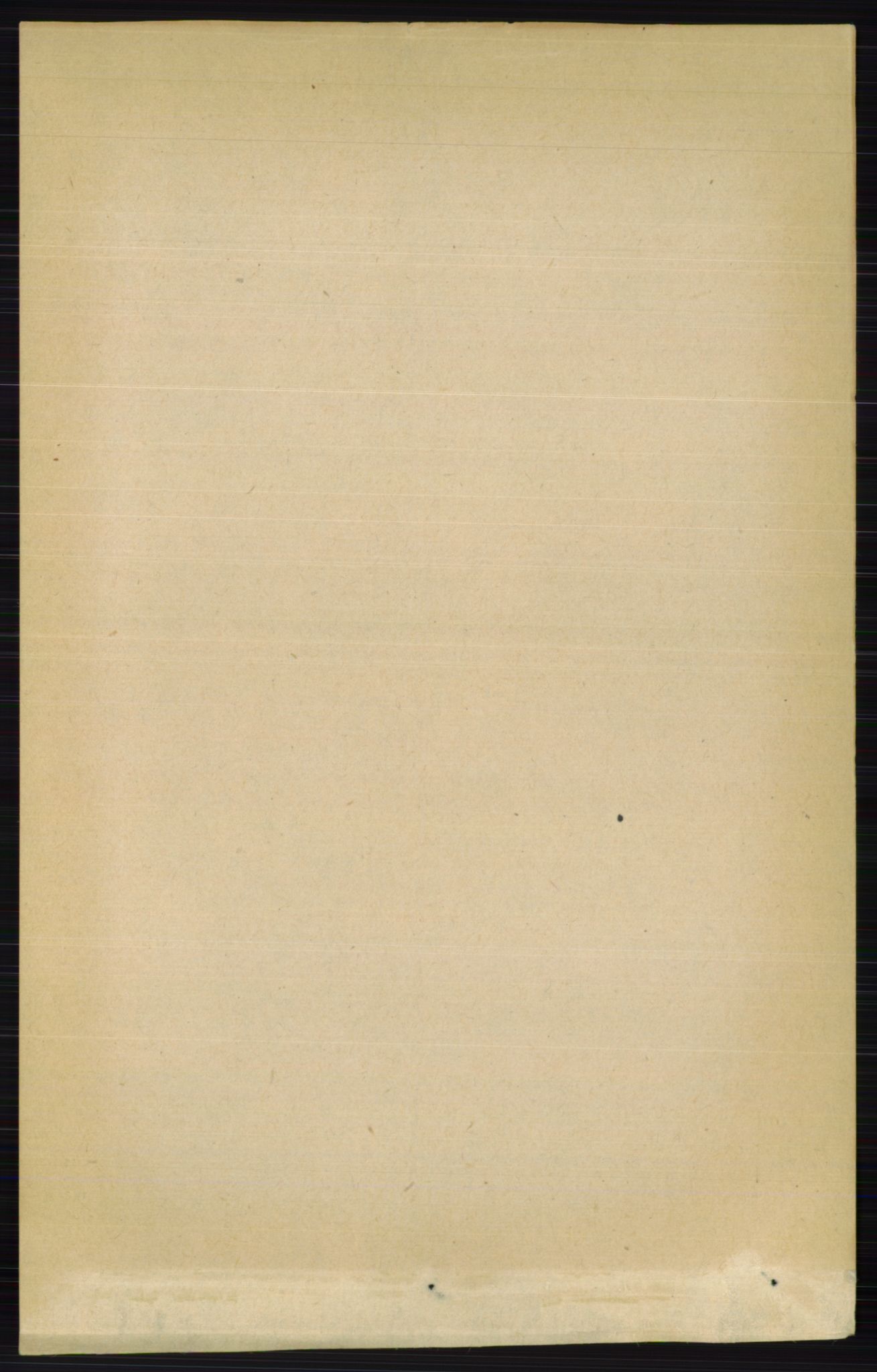 RA, 1891 census for 0412 Ringsaker, 1891, p. 8481
