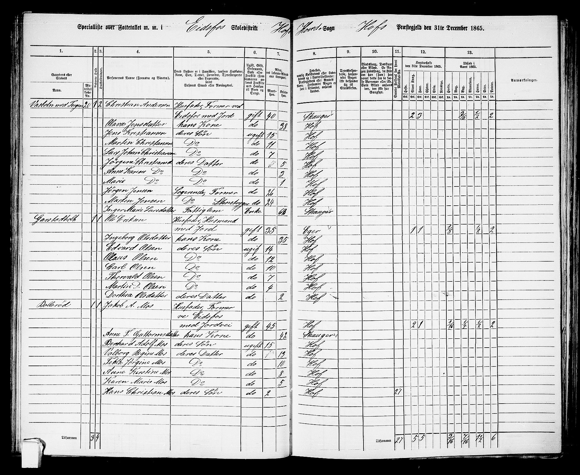 RA, 1865 census for Hof, 1865, p. 82