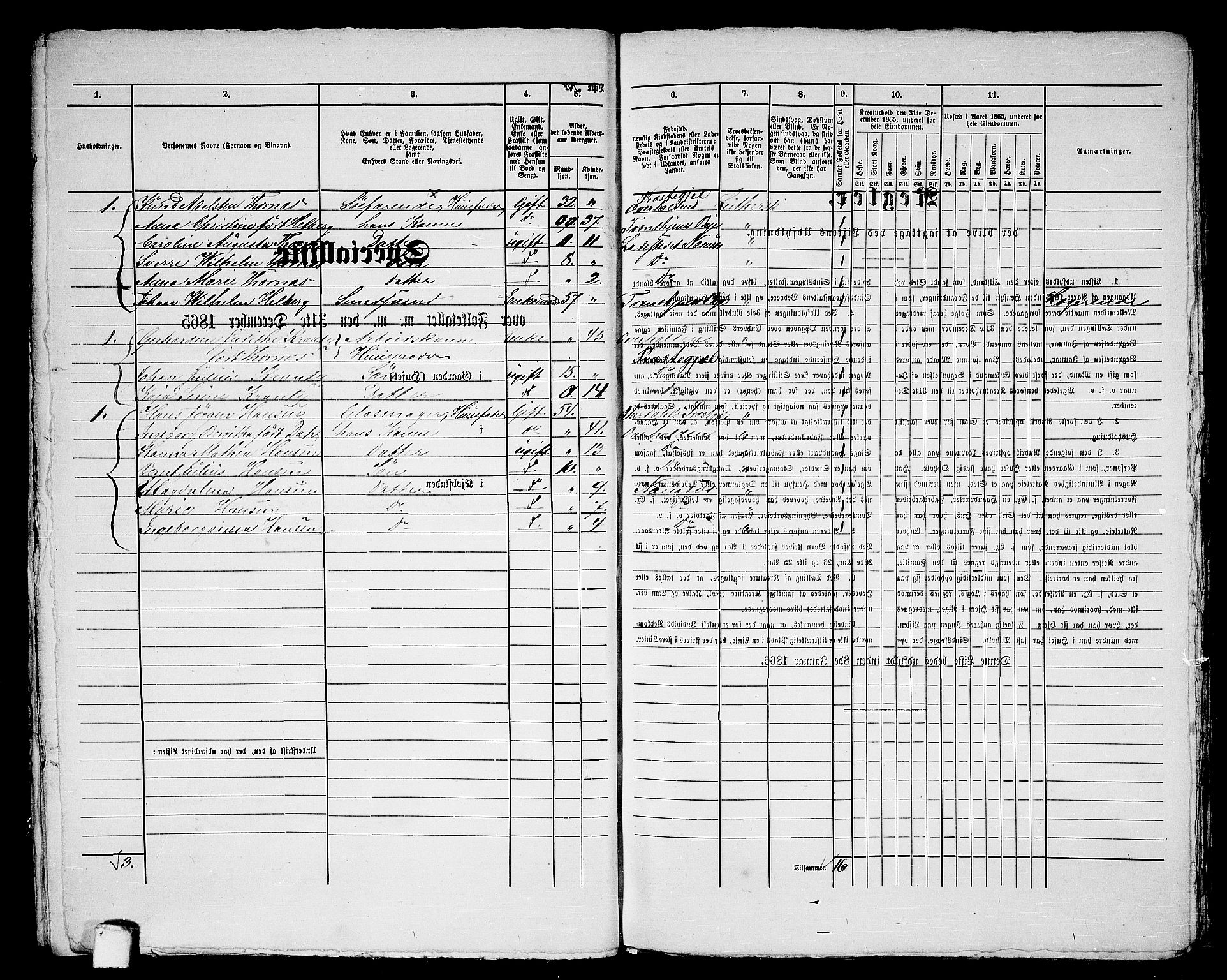 RA, 1865 census for Namsos/Namsos, 1865, p. 29
