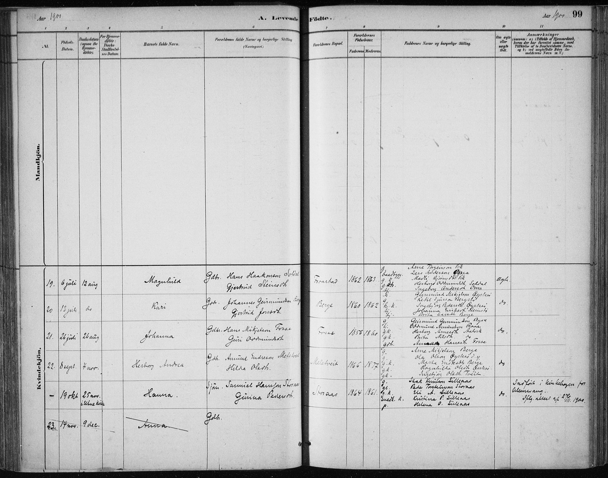 Kvam sokneprestembete, AV/SAB-A-76201/H/Haa: Parish register (official) no. C  1, 1880-1906, p. 99