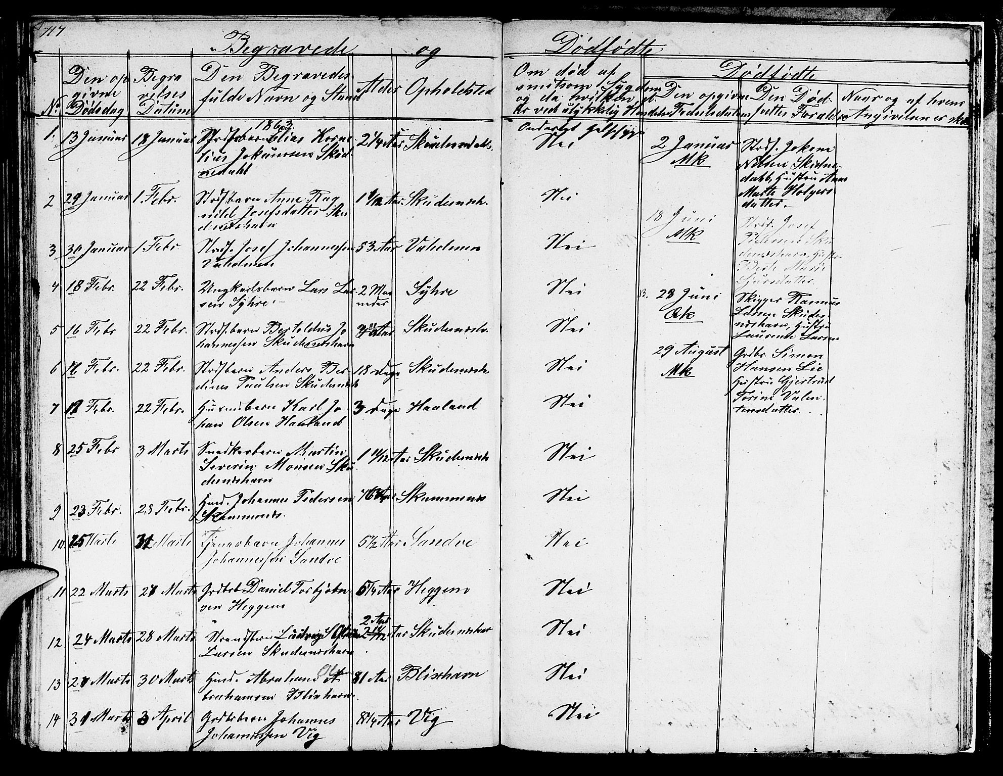 Skudenes sokneprestkontor, SAST/A -101849/H/Ha/Hab/L0001: Parish register (copy) no. B 1, 1848-1864, p. 117