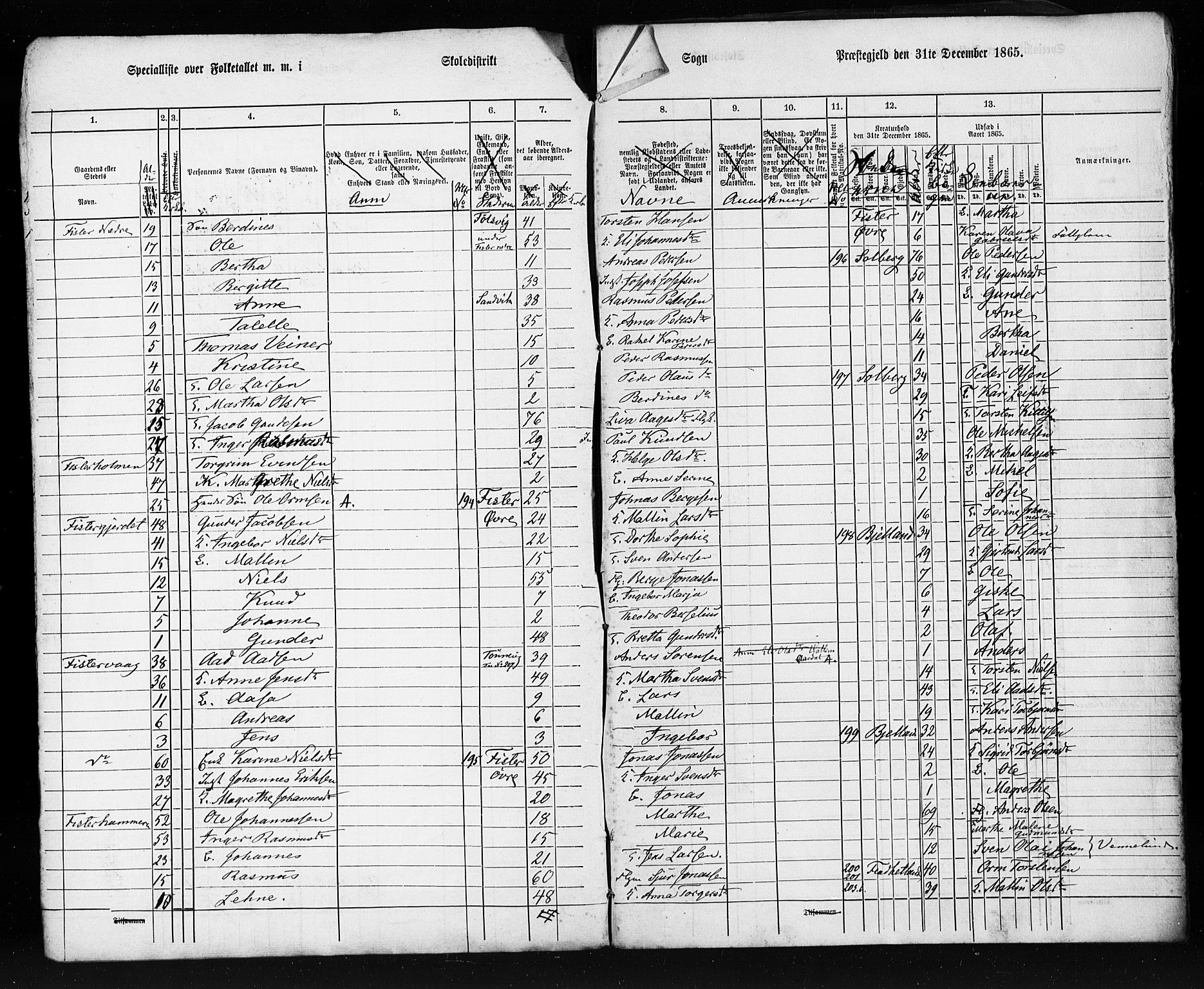 SAST, Census 1865 (copy) for Hjelmeland, 1865, p. 4