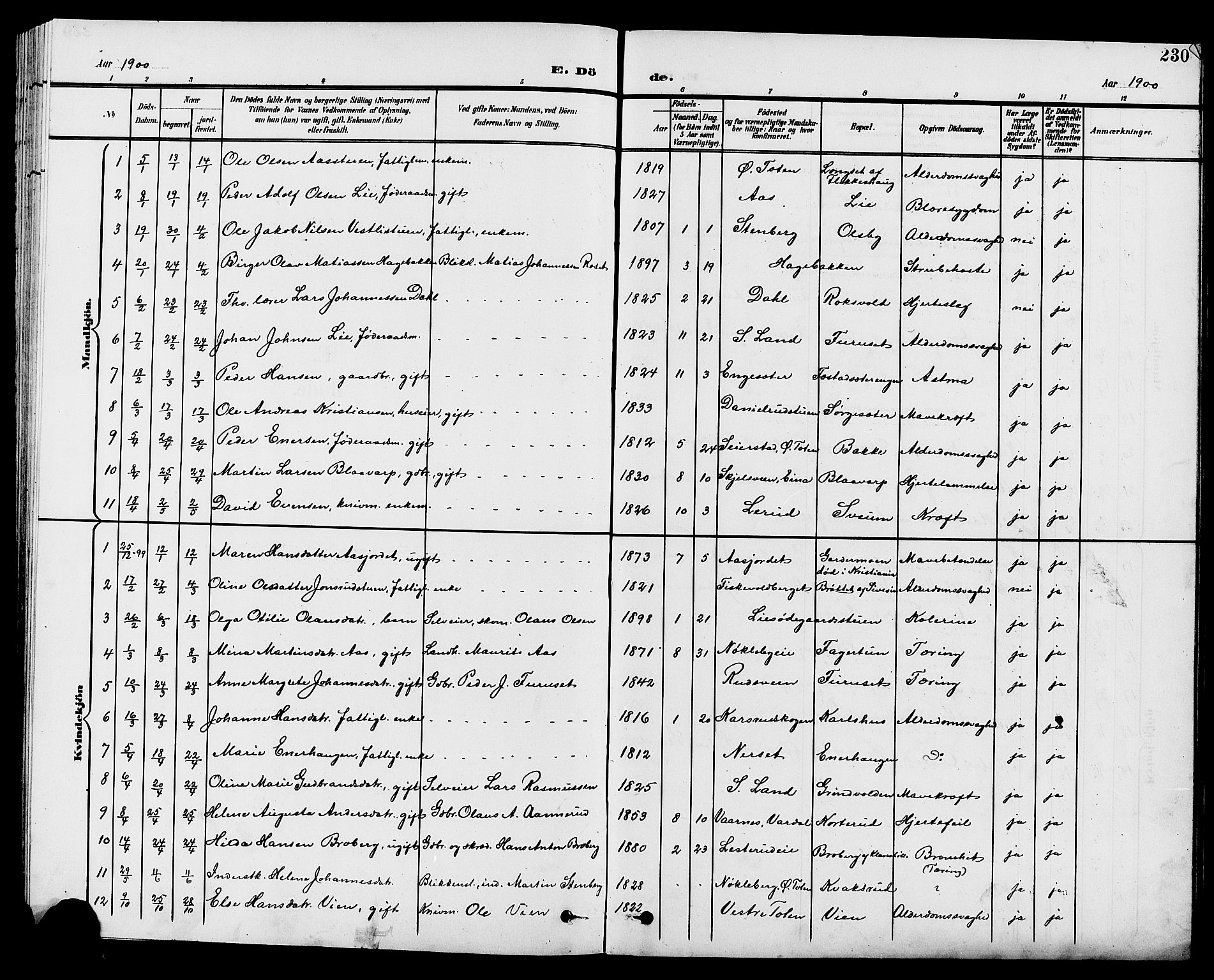 Vestre Toten prestekontor, SAH/PREST-108/H/Ha/Hab/L0010: Parish register (copy) no. 10, 1900-1912, p. 230