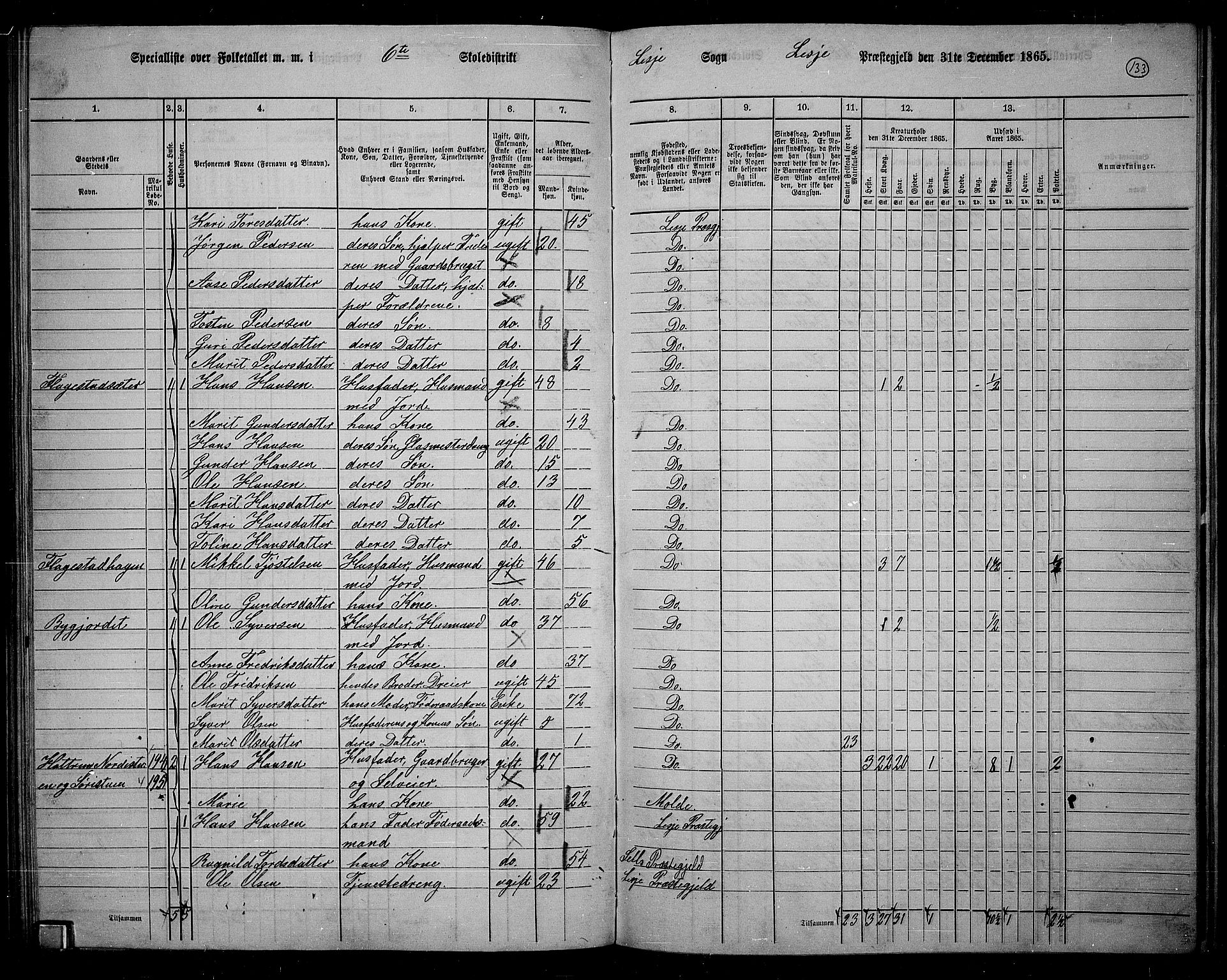 RA, 1865 census for Lesja, 1865, p. 120