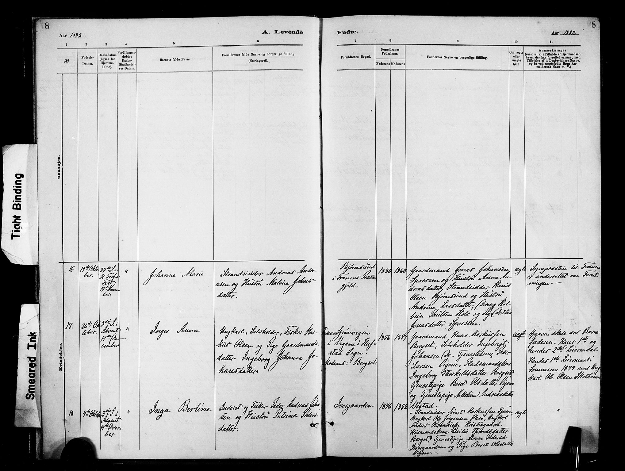 Ministerialprotokoller, klokkerbøker og fødselsregistre - Møre og Romsdal, AV/SAT-A-1454/566/L0769: Parish register (official) no. 566A08, 1881-1903, p. 8