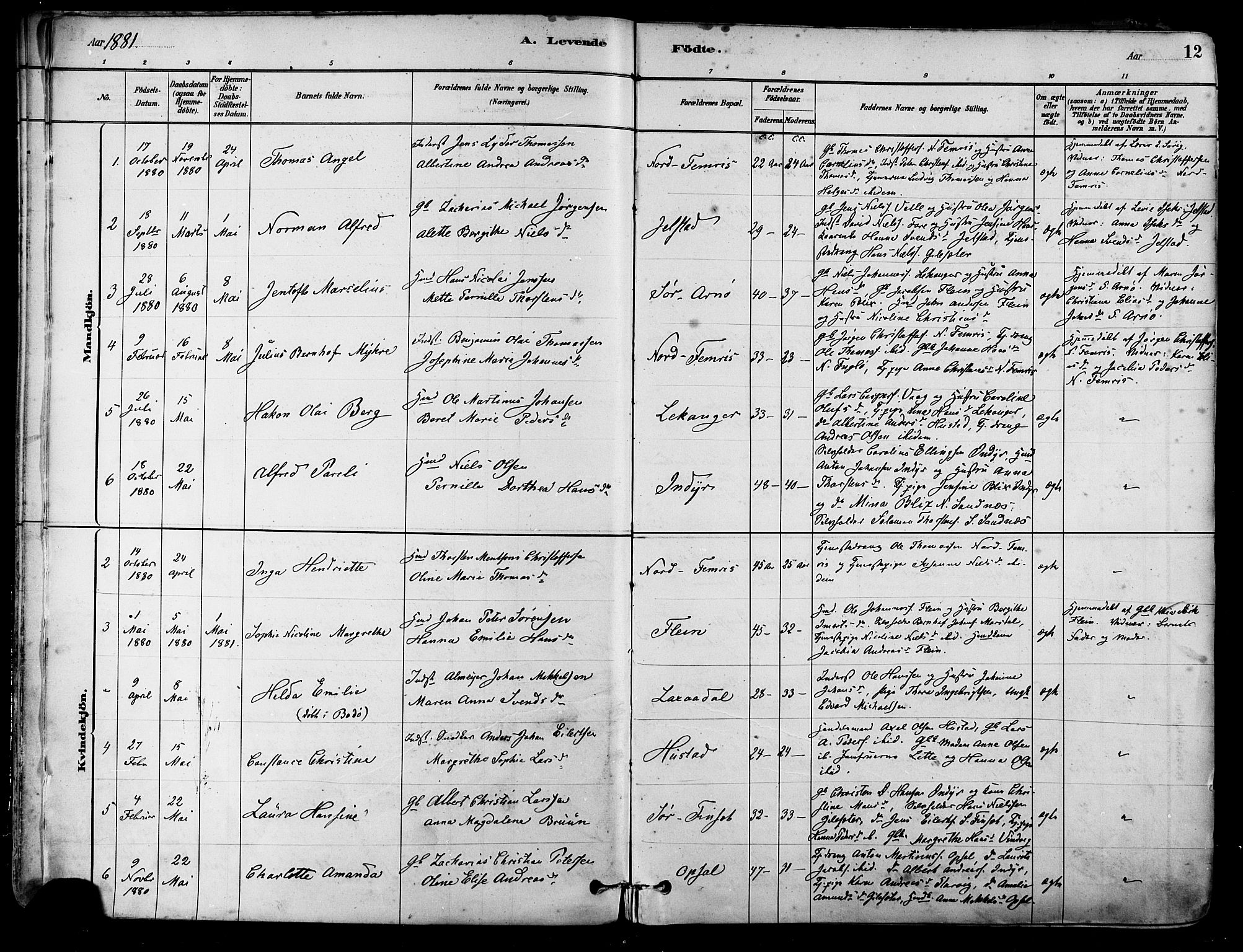 Ministerialprotokoller, klokkerbøker og fødselsregistre - Nordland, AV/SAT-A-1459/805/L0099: Parish register (official) no. 805A06, 1880-1891, p. 12