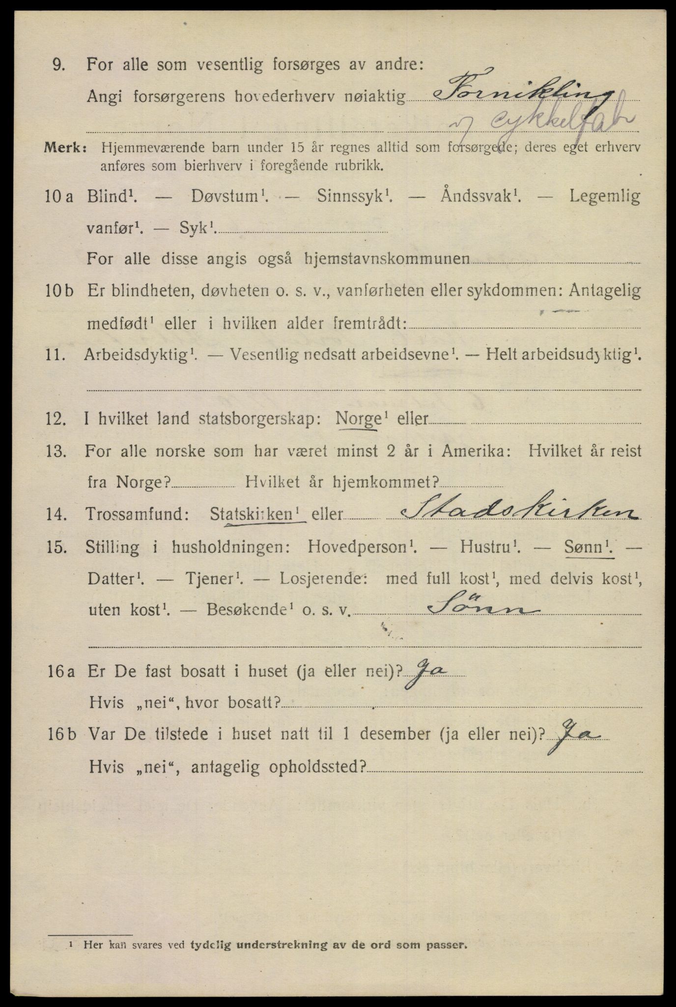 SAKO, 1920 census for Porsgrunn, 1920, p. 16184