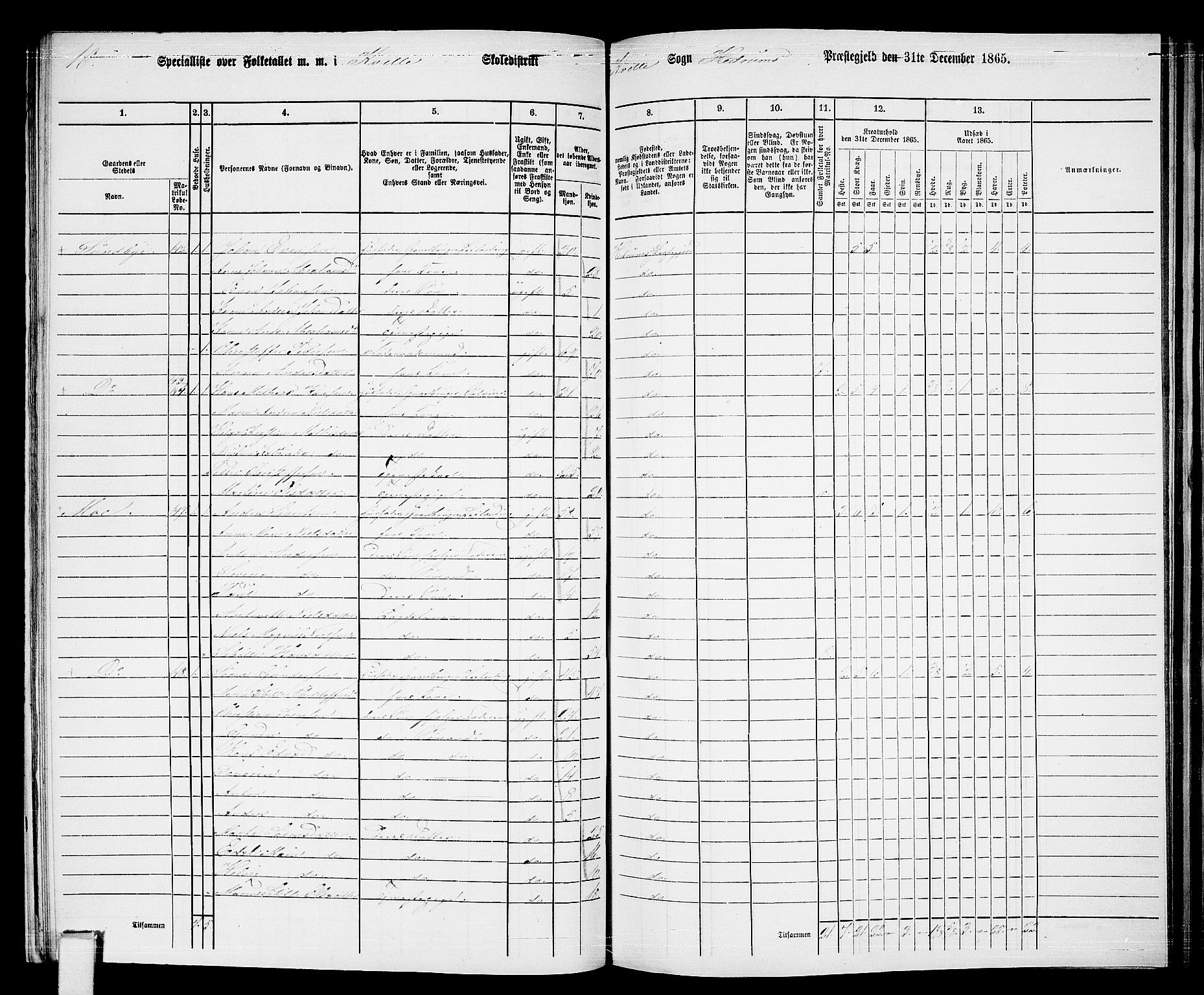 RA, 1865 census for Hedrum, 1865, p. 120