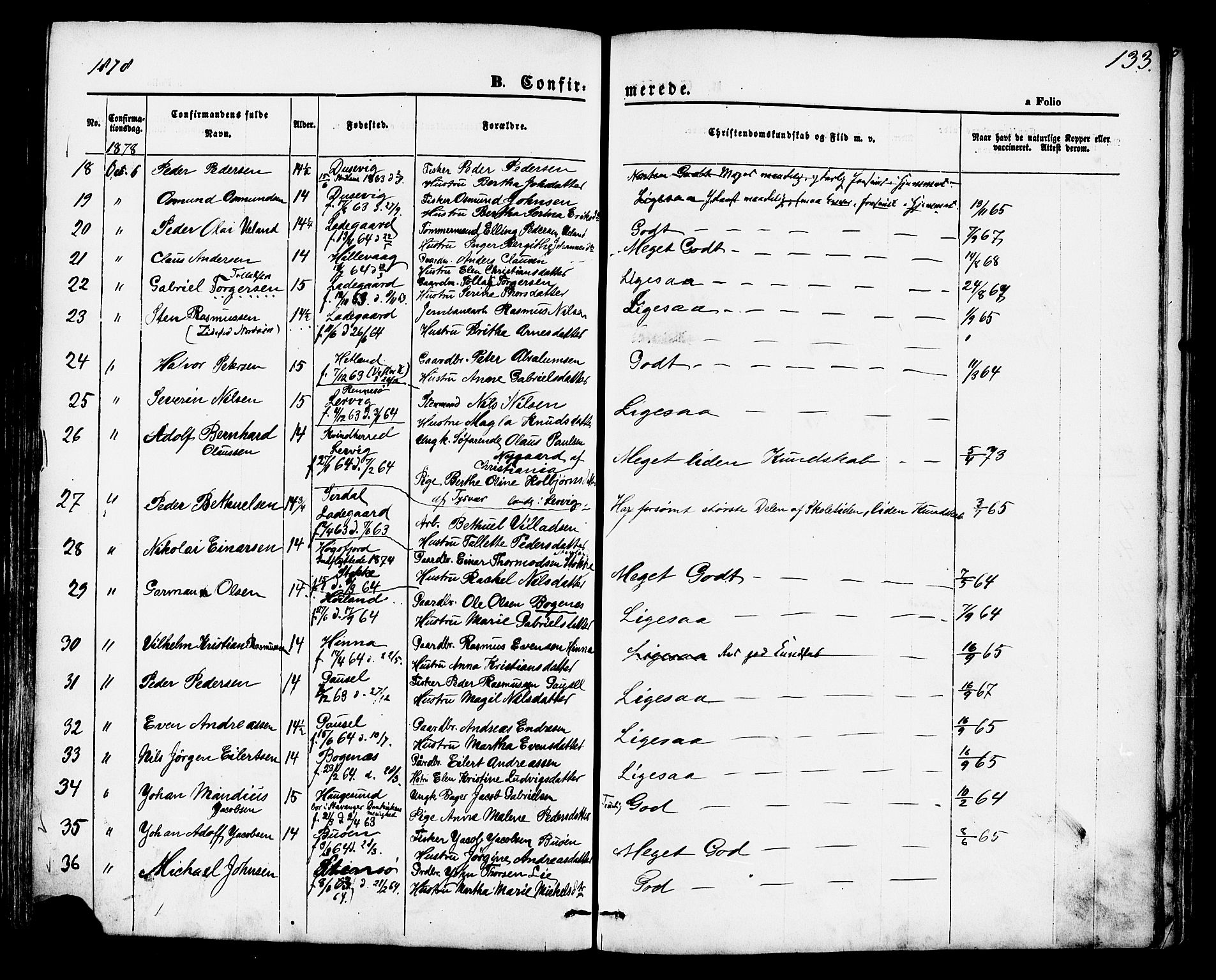 Hetland sokneprestkontor, SAST/A-101826/30/30BA/L0004: Parish register (official) no. A 4, 1862-1881, p. 133