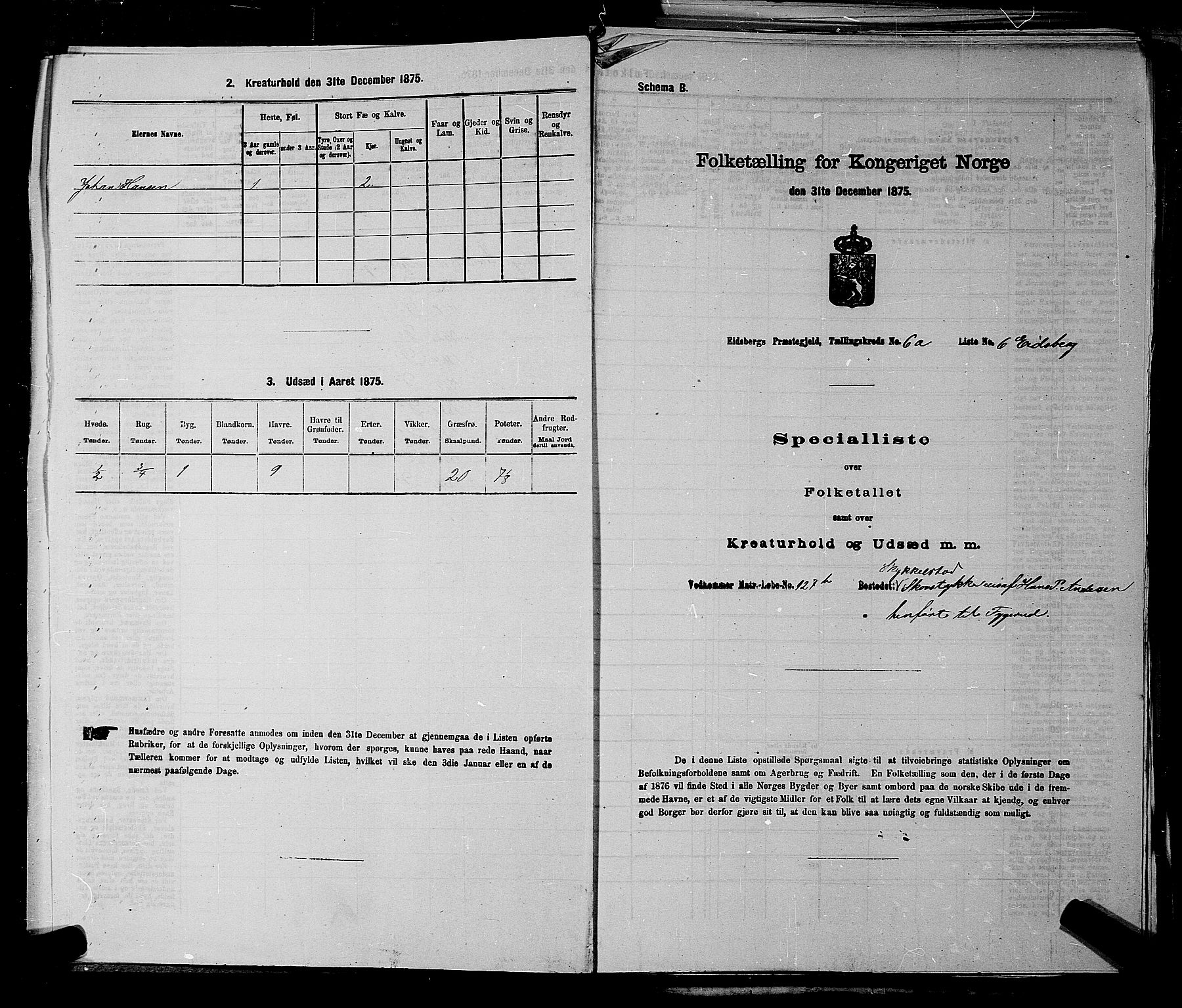 RA, 1875 census for 0125P Eidsberg, 1875, p. 1135