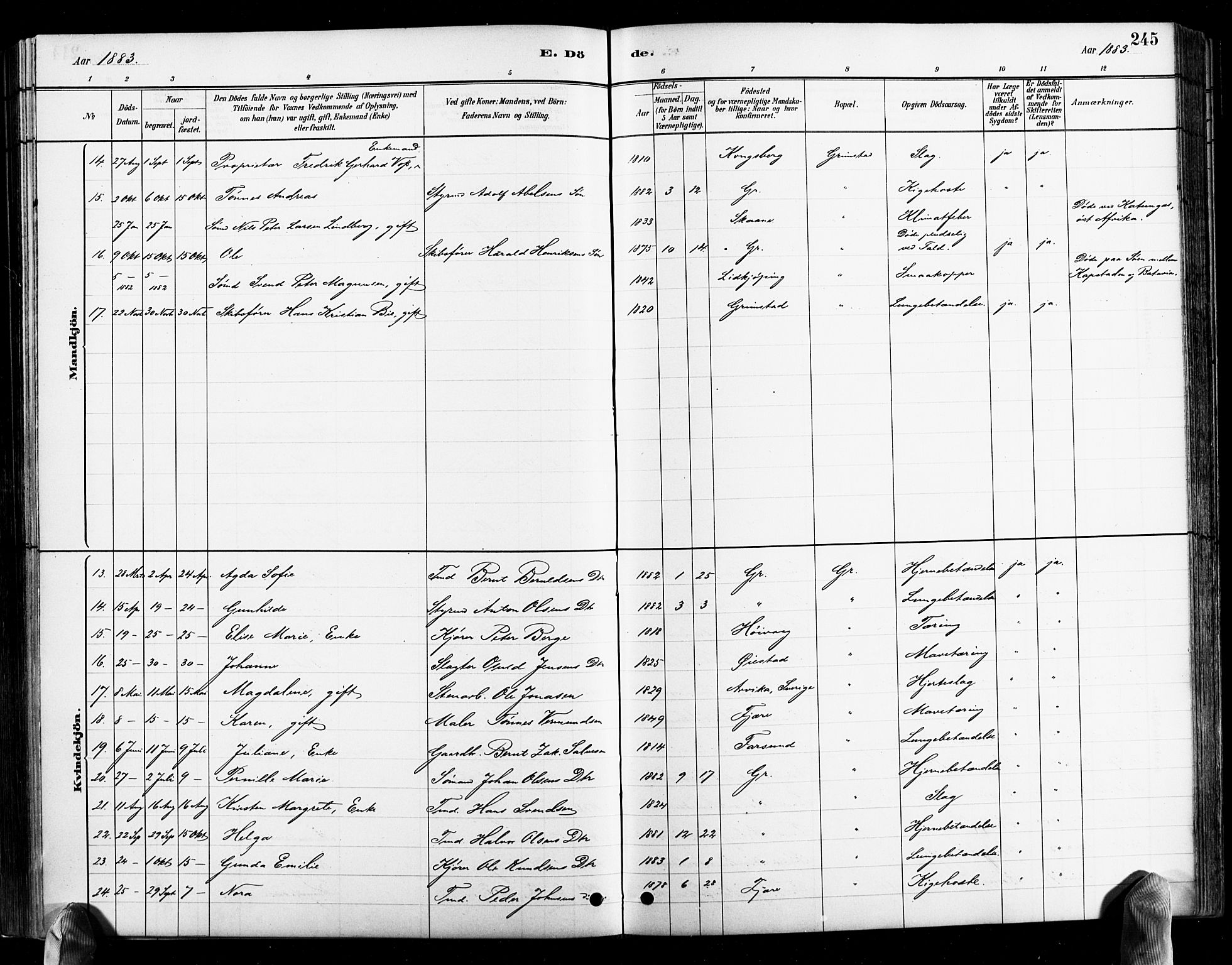 Grimstad sokneprestkontor, SAK/1111-0017/F/Fb/L0001: Parish register (copy) no. B 1, 1881-1922, p. 245