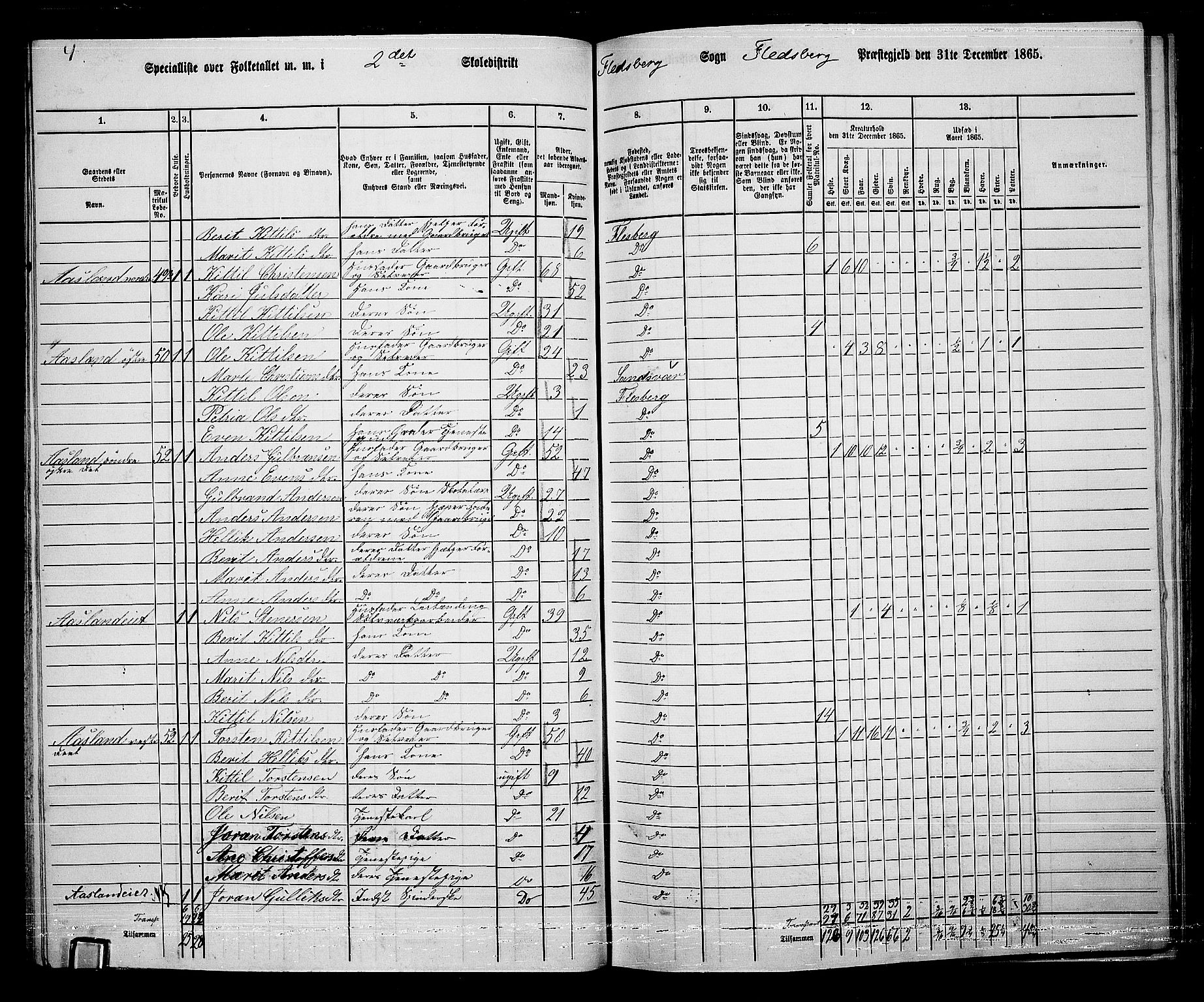 RA, 1865 census for Flesberg, 1865, p. 36