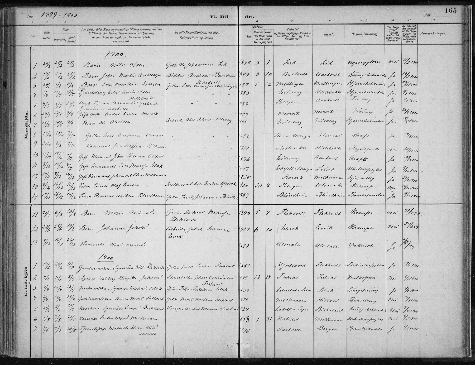 Hamre sokneprestembete, SAB/A-75501/H/Ha/Haa/Haad/L0001: Parish register (official) no. D  1, 1882-1906, p. 165
