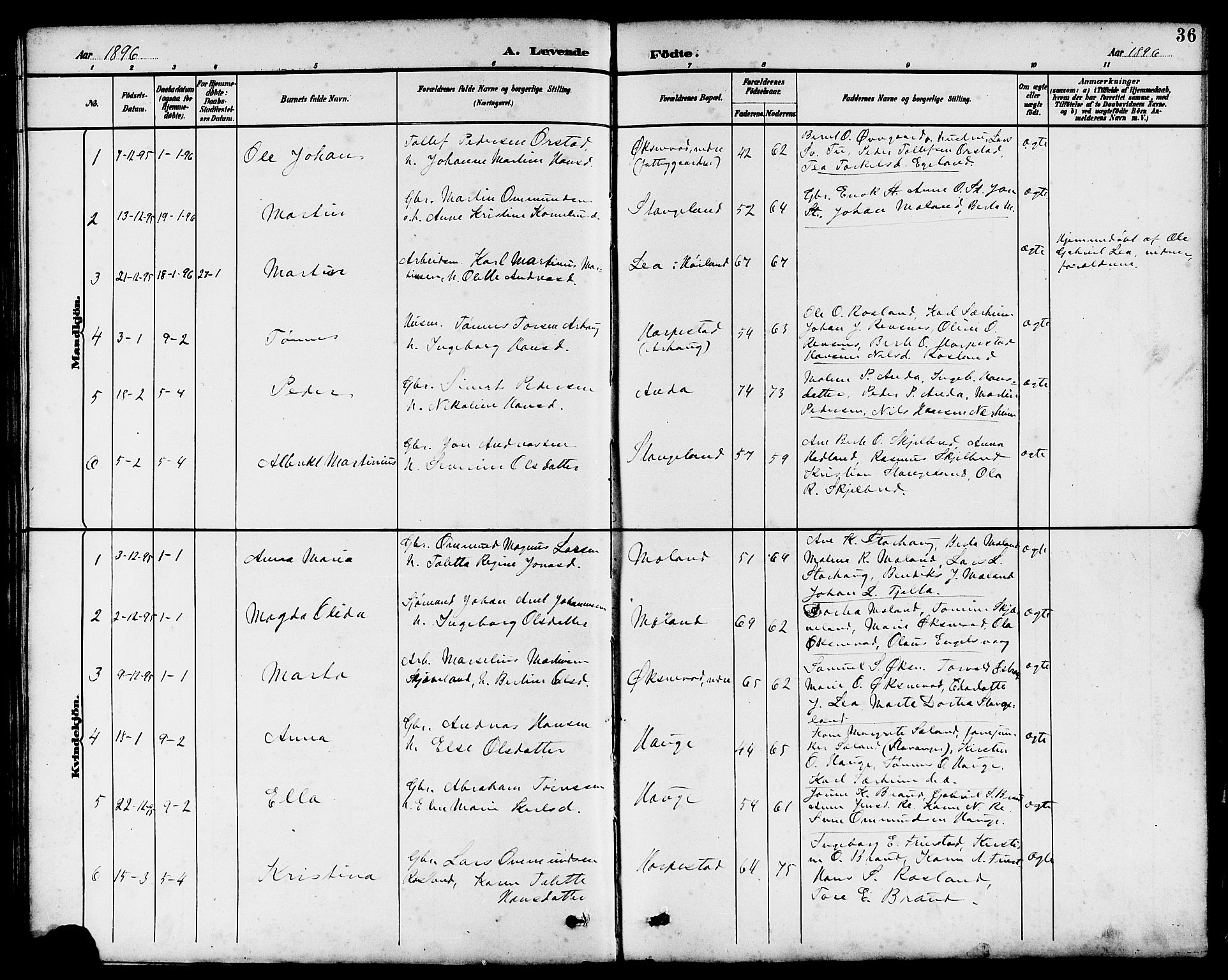 Klepp sokneprestkontor, SAST/A-101803/001/3/30BB/L0004: Parish register (copy) no. B 4, 1889-1914, p. 36