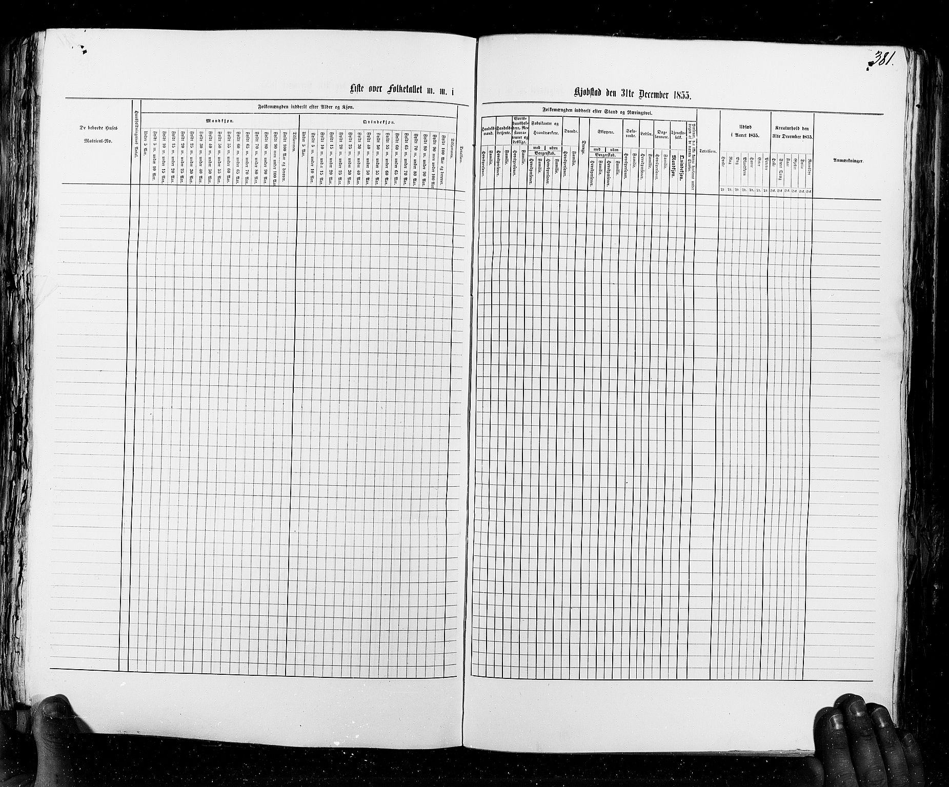 RA, Census 1855, vol. 8: Risør-Vadsø, 1855, p. 381