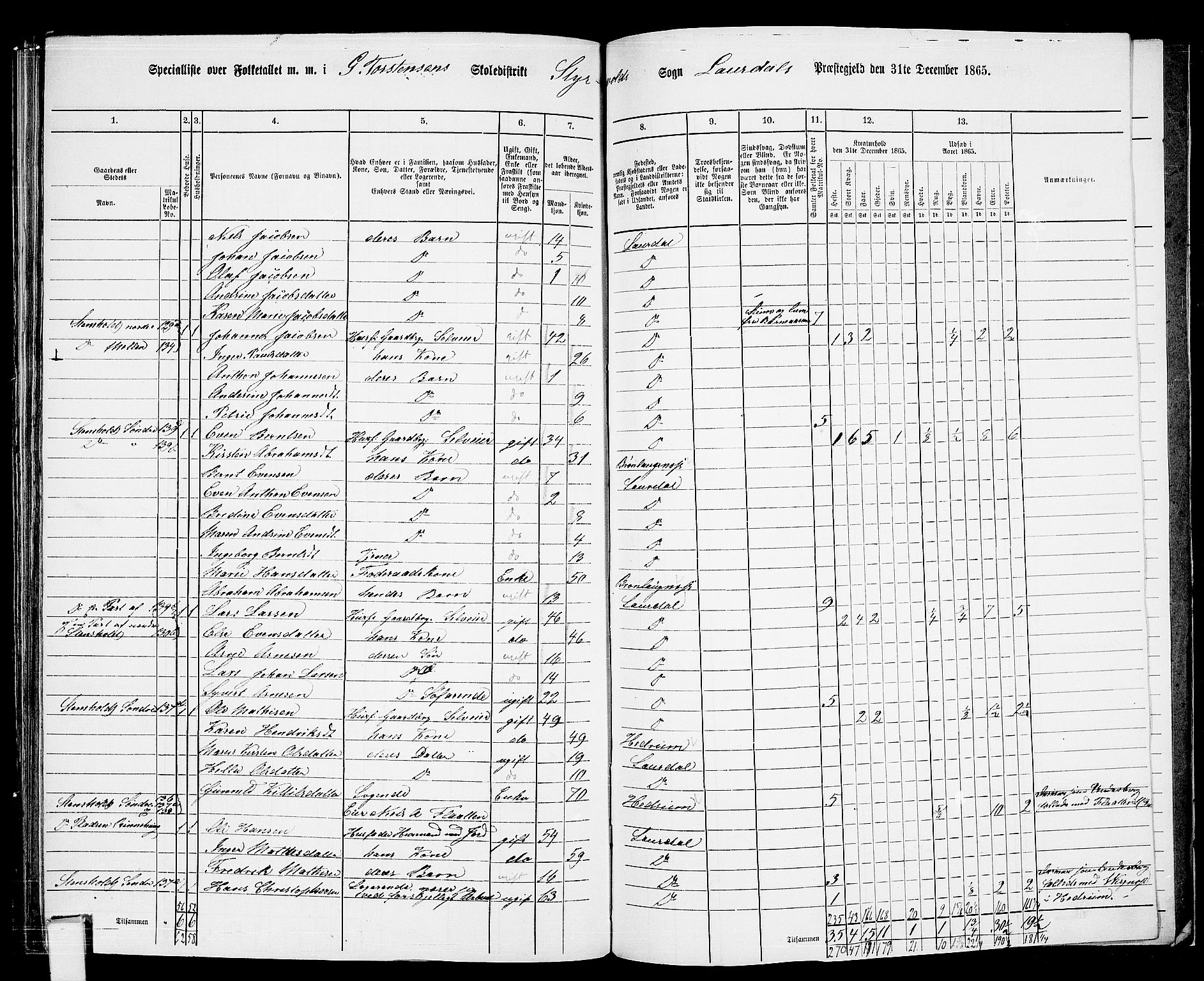 RA, 1865 census for Lardal, 1865, p. 100